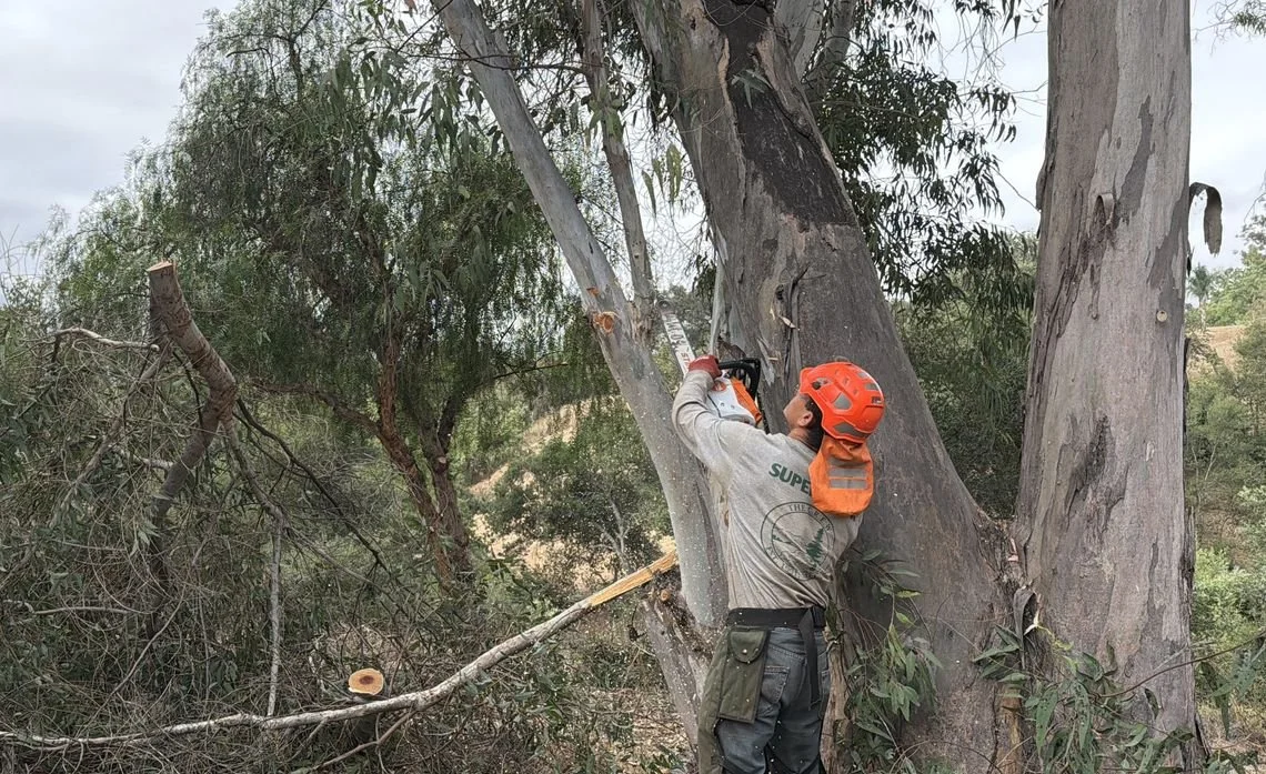 Reid Austin goes to the Ventura Land Trust