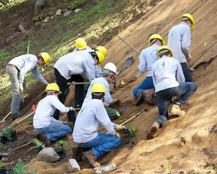 Group of people working on planting or gardening on a hillside, wearing yellow hard hats and gloves, with tools and small plants.