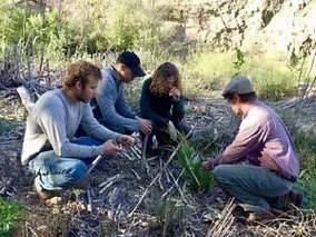 Middle Stewart Canyon Creek restoration