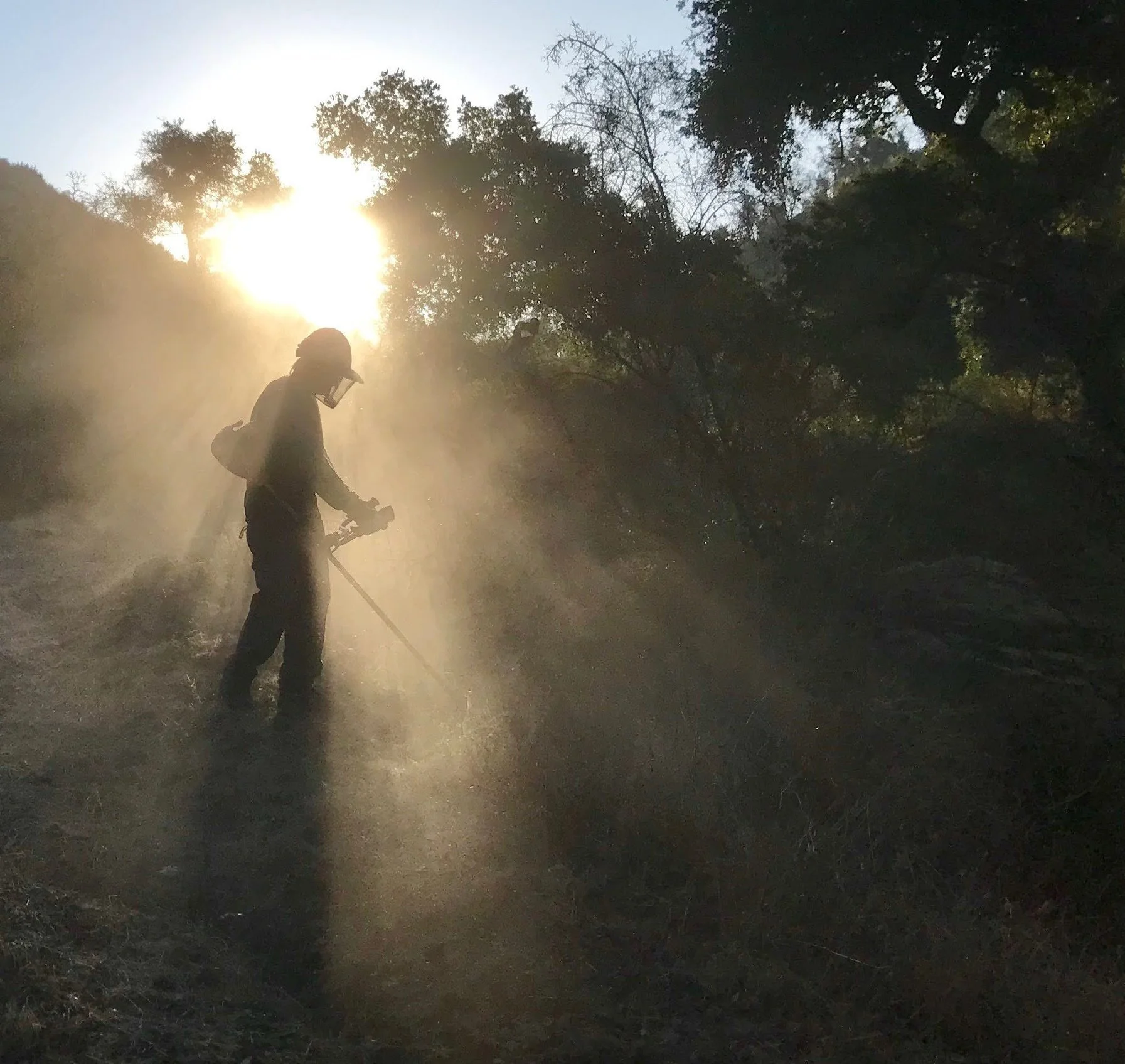 A person in a helmet and gear on a forest path at sunrise, with trees on both sides and sunlight through the branches.