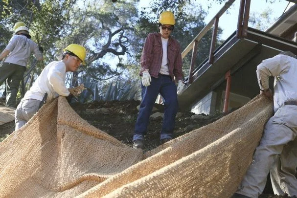 9327_Mulching.JPG