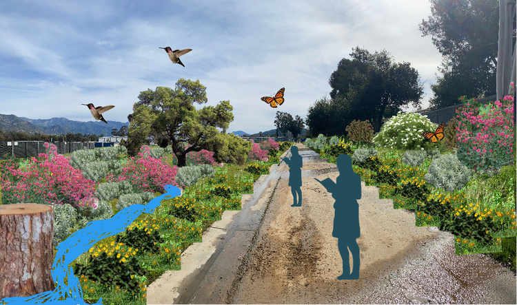 Design rendering of the Nordhoff High School pollinator pathway, presented by the Ojai Youth Council, spring 2024