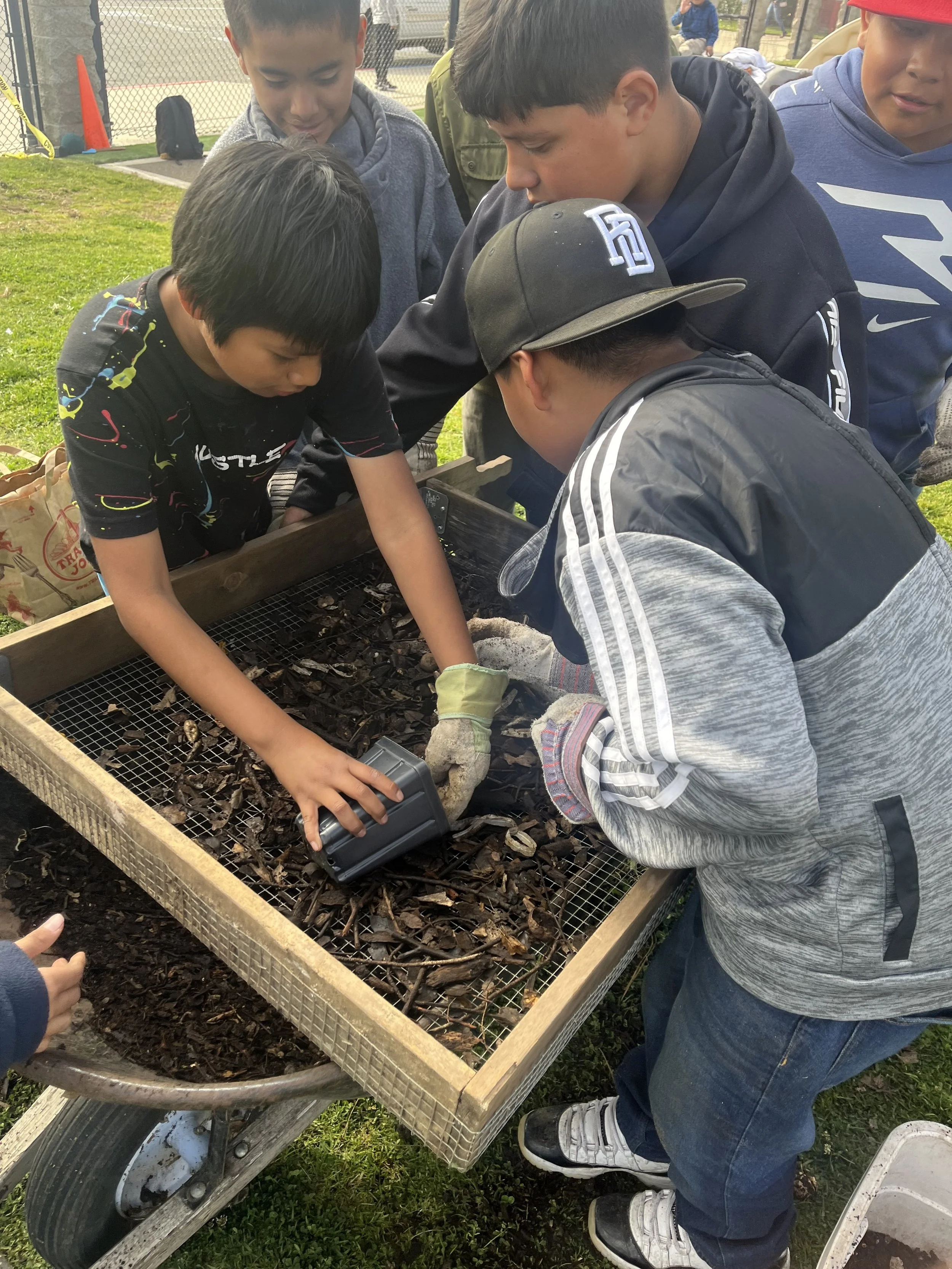Group of children gathered around a garden bed examining soil and compost, some using tools, outdoors on a sunny day.