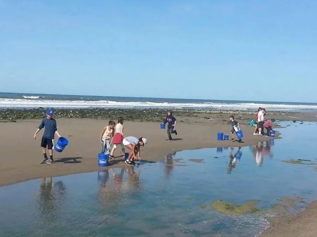 Children and adults collecting shells and exploring the wet sand at the beach with buckets and shovels in a group, near the shoreline with the ocean in the background.