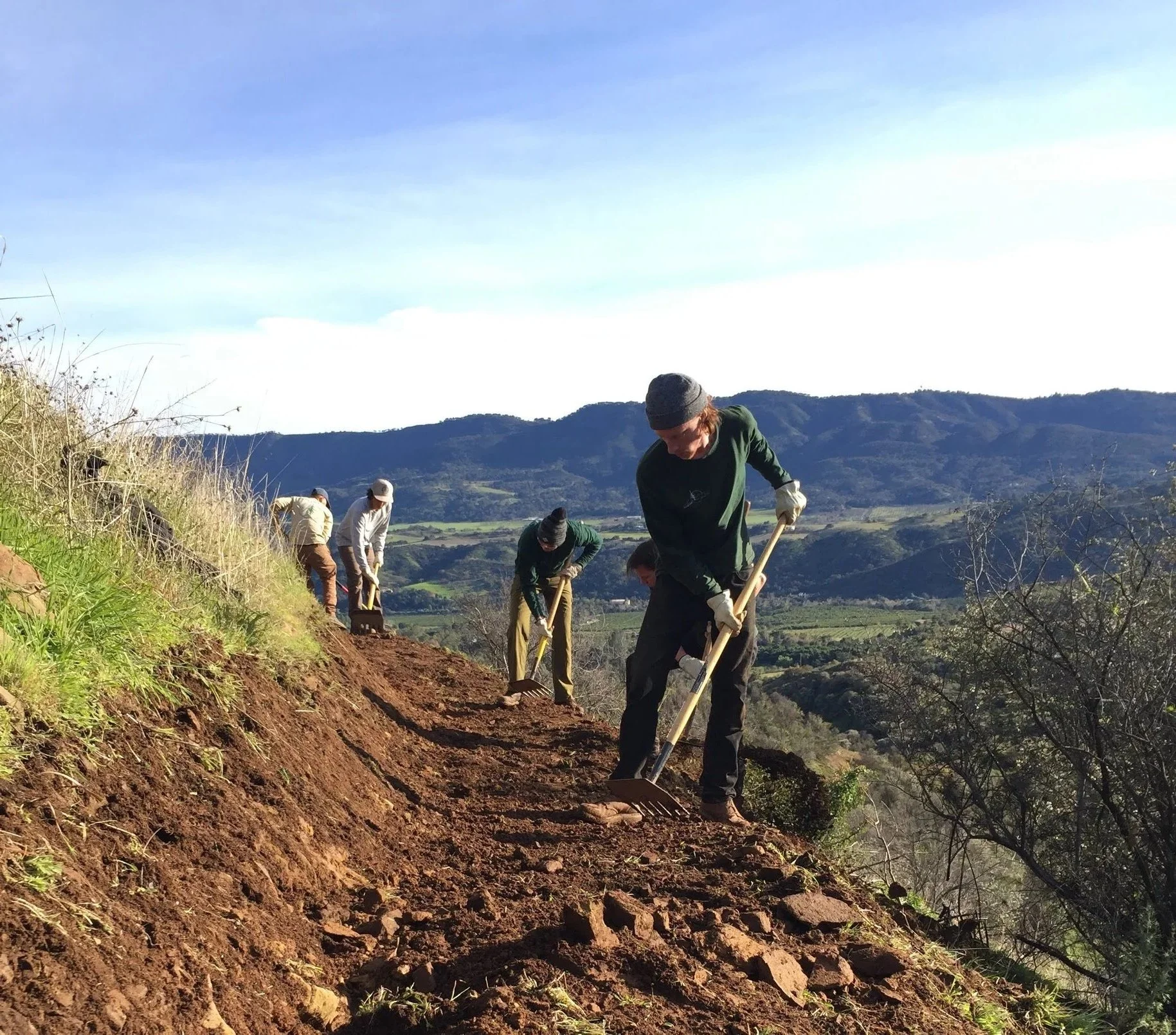 People planting or working on a hillside outdoors, with mountains and blue sky in the background.