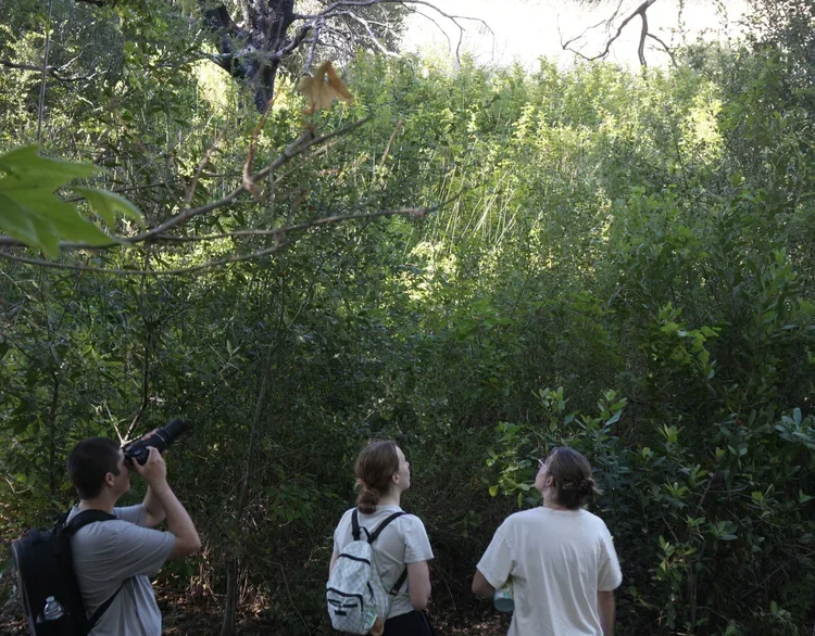 Youth Council members observing birds on a Conejo Valley trail