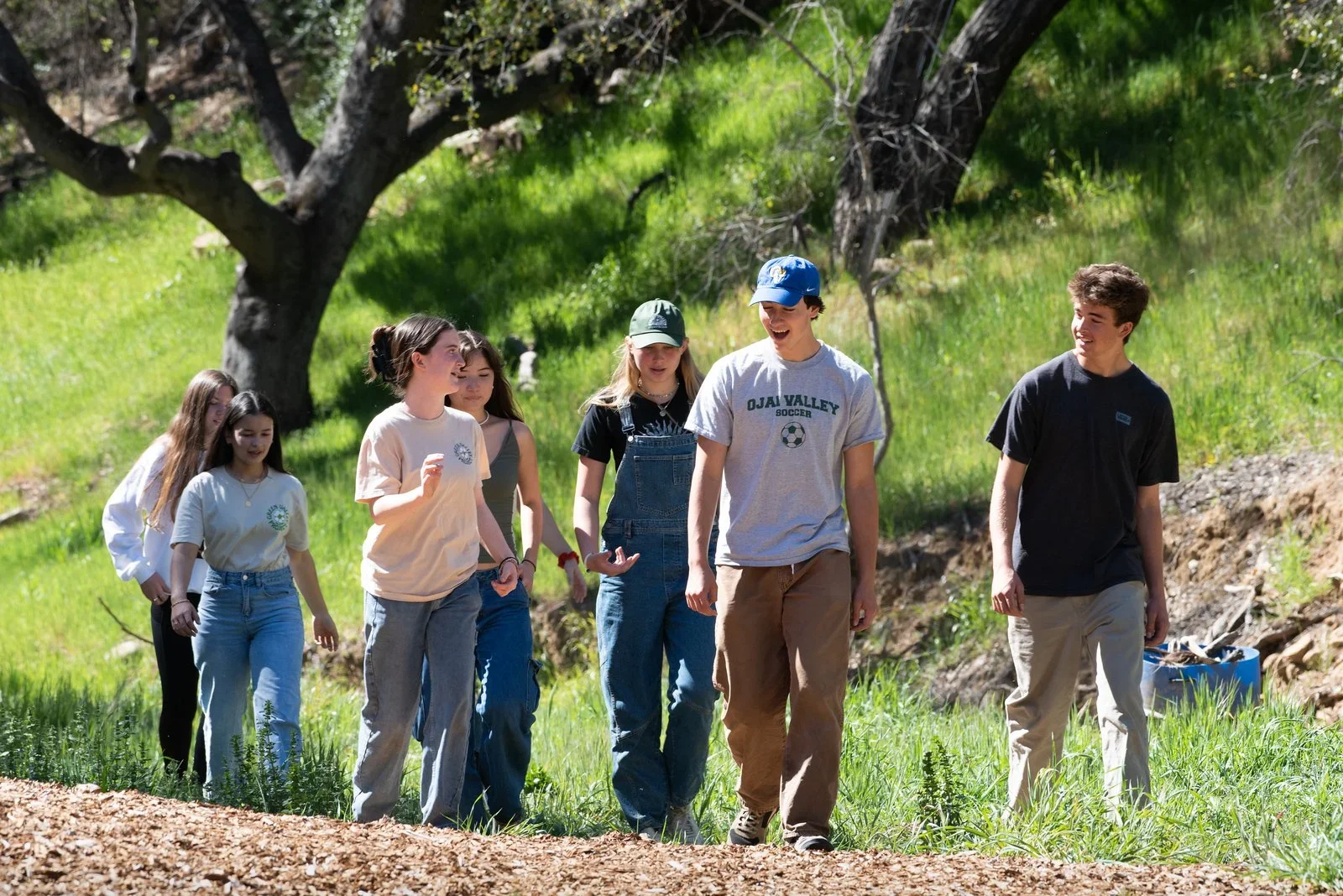 A group of seven young people walking outdoors in a grassy, wooded area on a sunny day, smiling and talking.