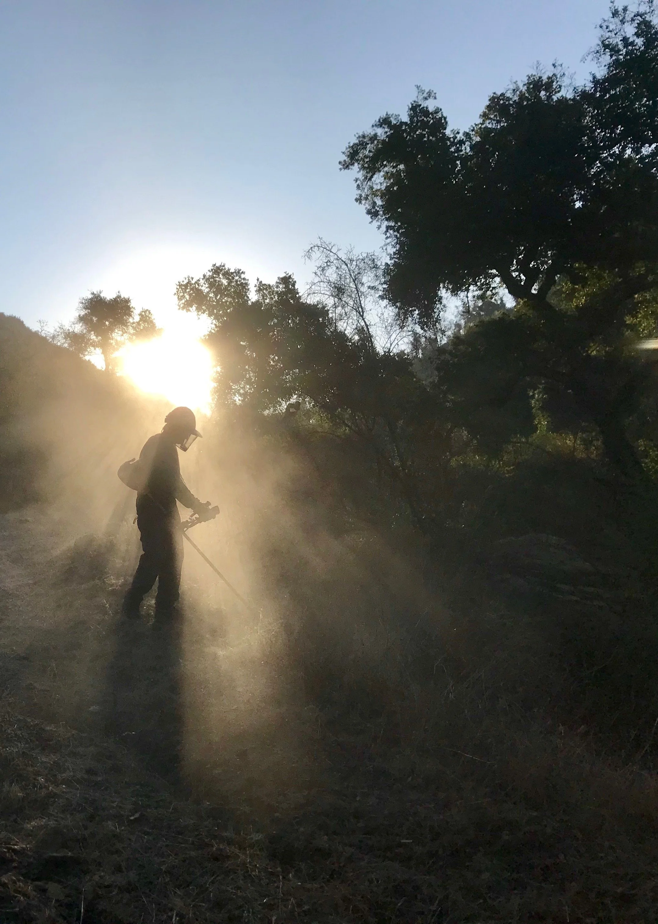 7069_Sunlight silhouette.JPG