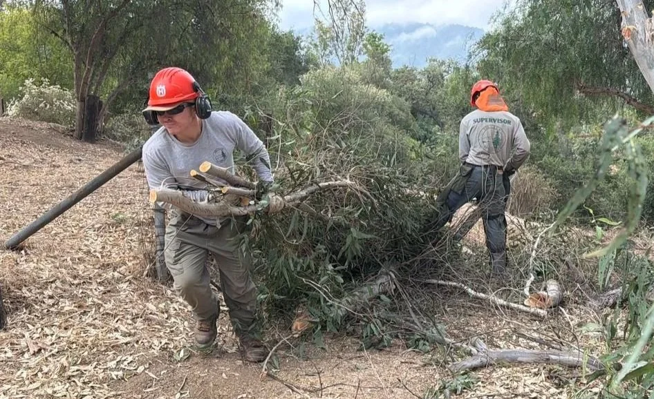 The+CREW+1_mid.jpg