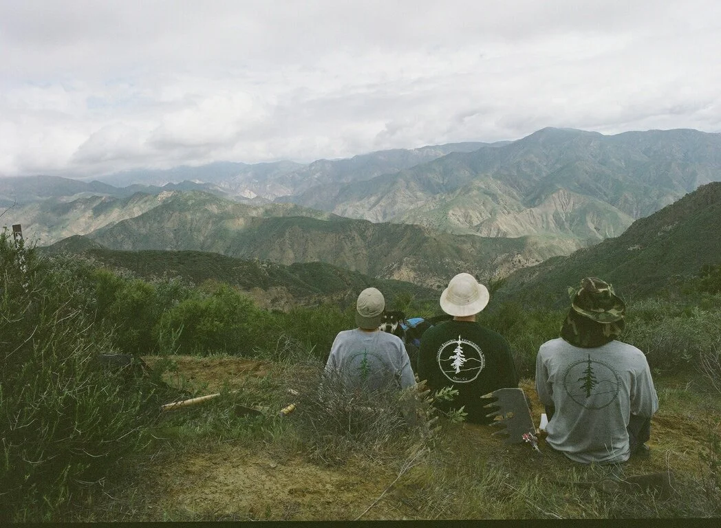 Three people sitting on a hillside overlooking distant mountains under cloudy skies.