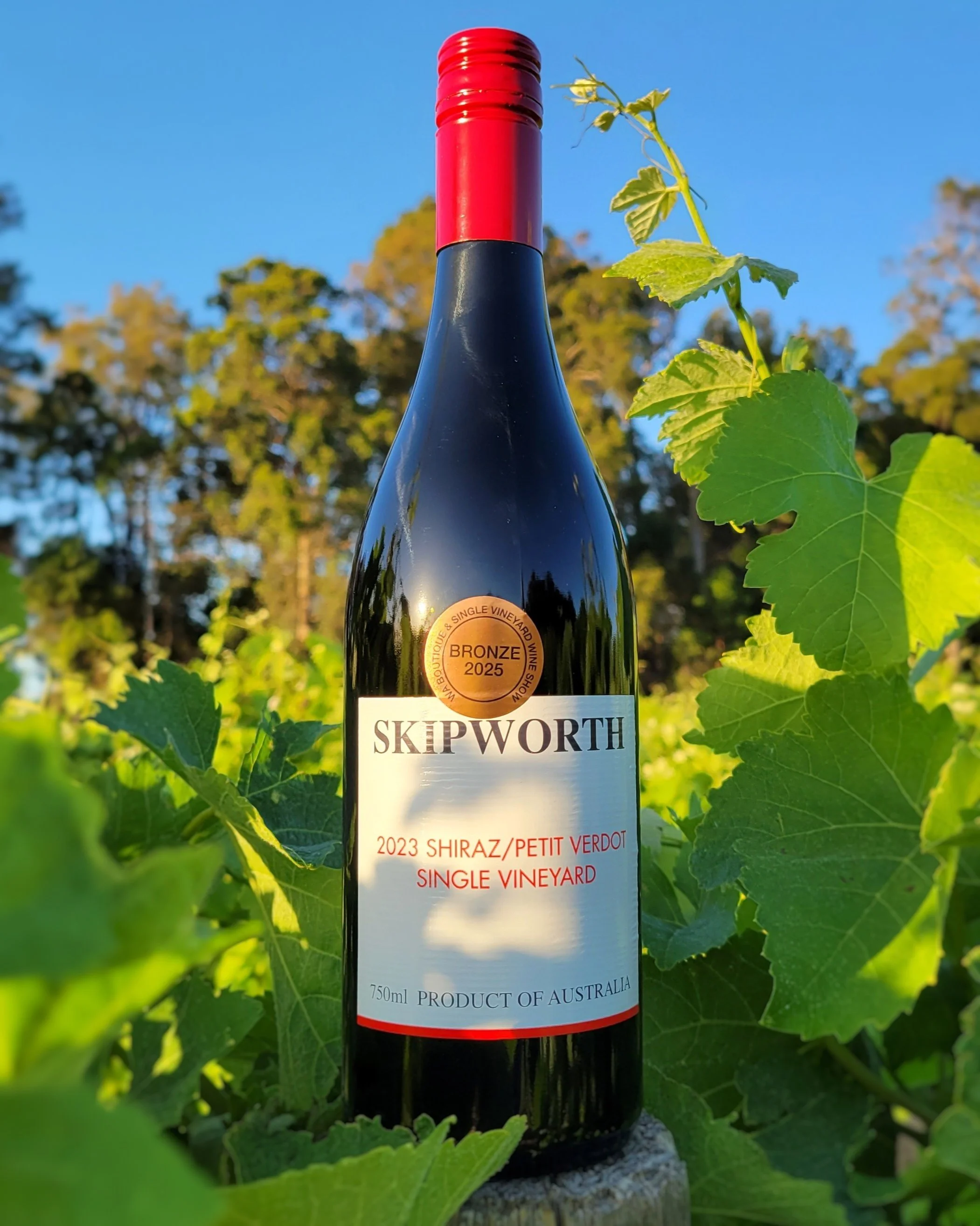 A bottle of award-winning Single Vineyard Shiraz / Petit Verdot blend 2023 produced in Yarloop by Kim Skipworth, surrounded by the lush Shiraz vineyard with springtime growth. You can see the Skipworth Winery and cellar door nestled amongst the nativ