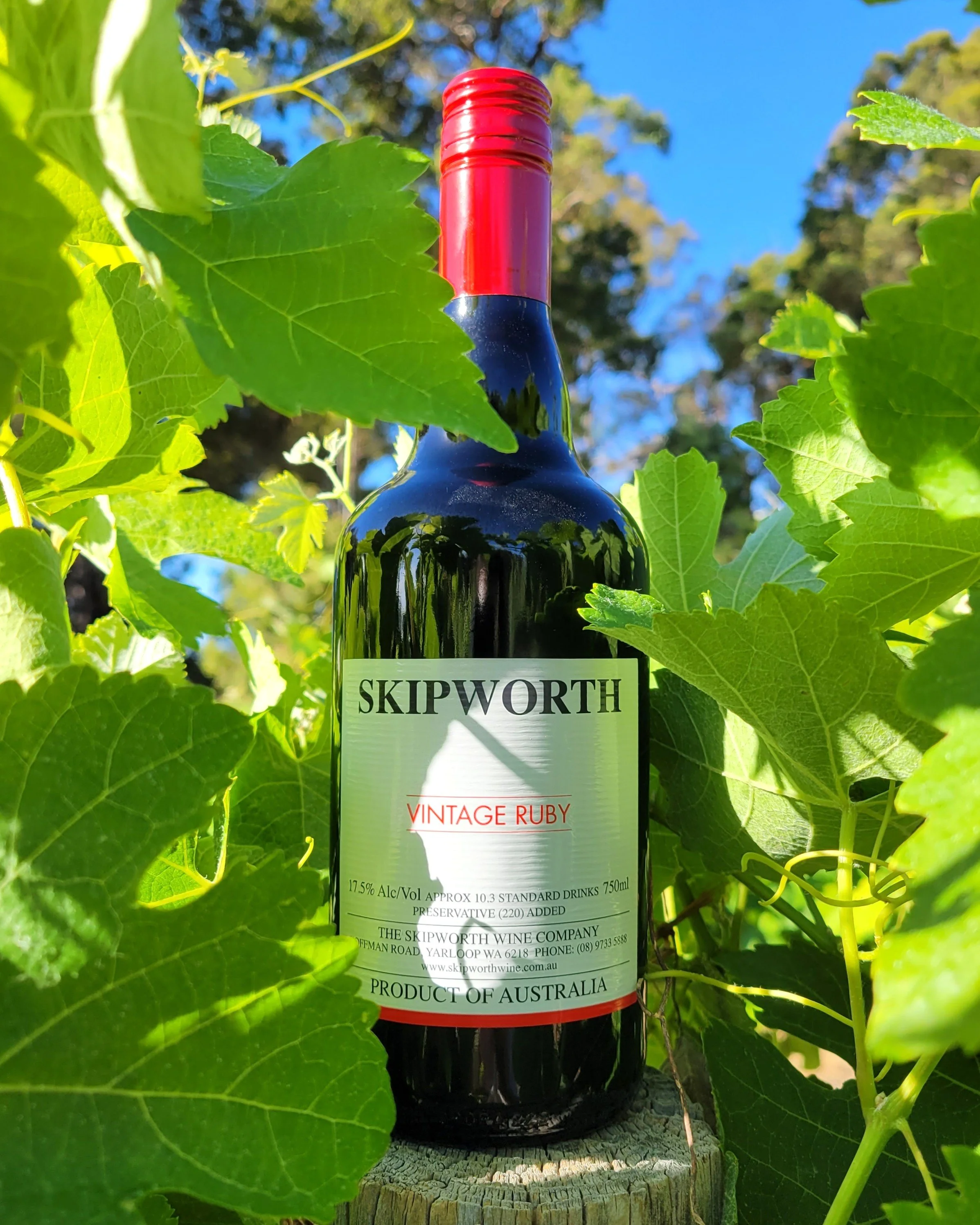 20251208_165938 2.jpg