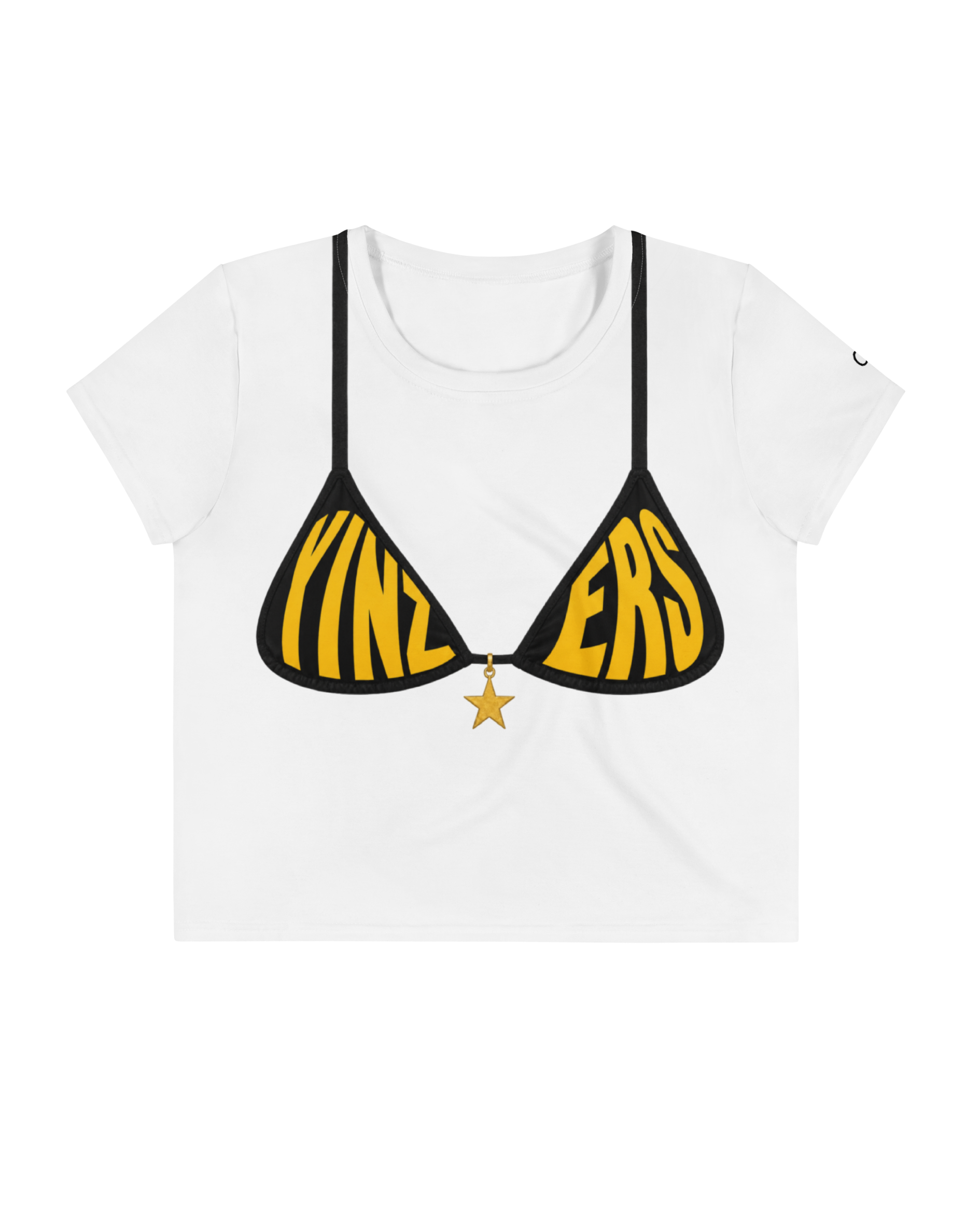 Pittsburgh Steelers Bikini Crop Top