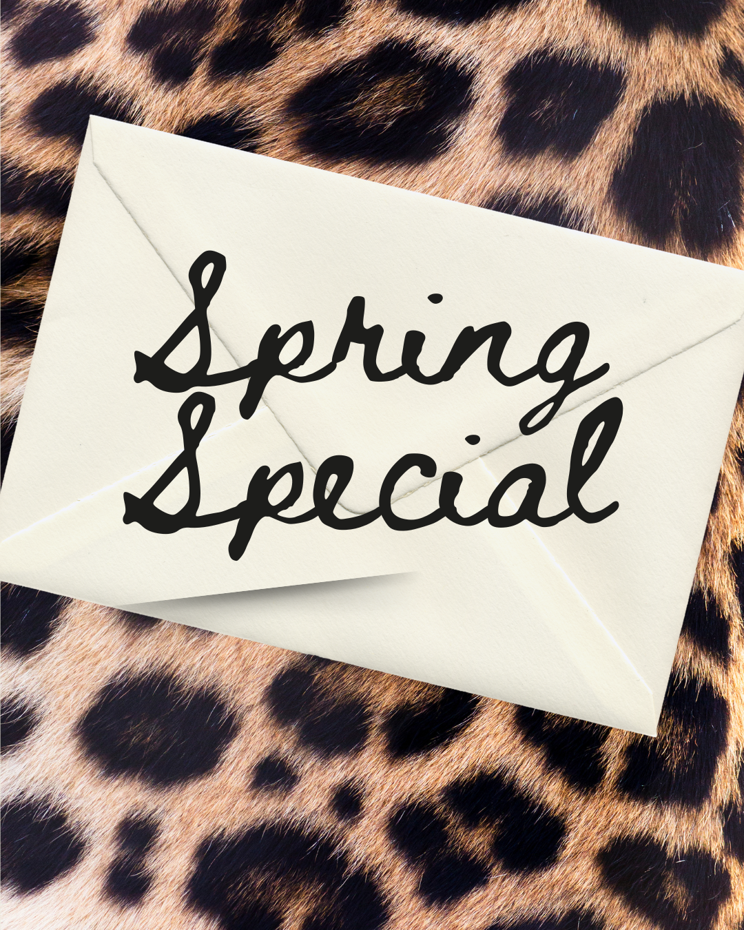 3 months of SNAIL MAIL for $15 (2).png