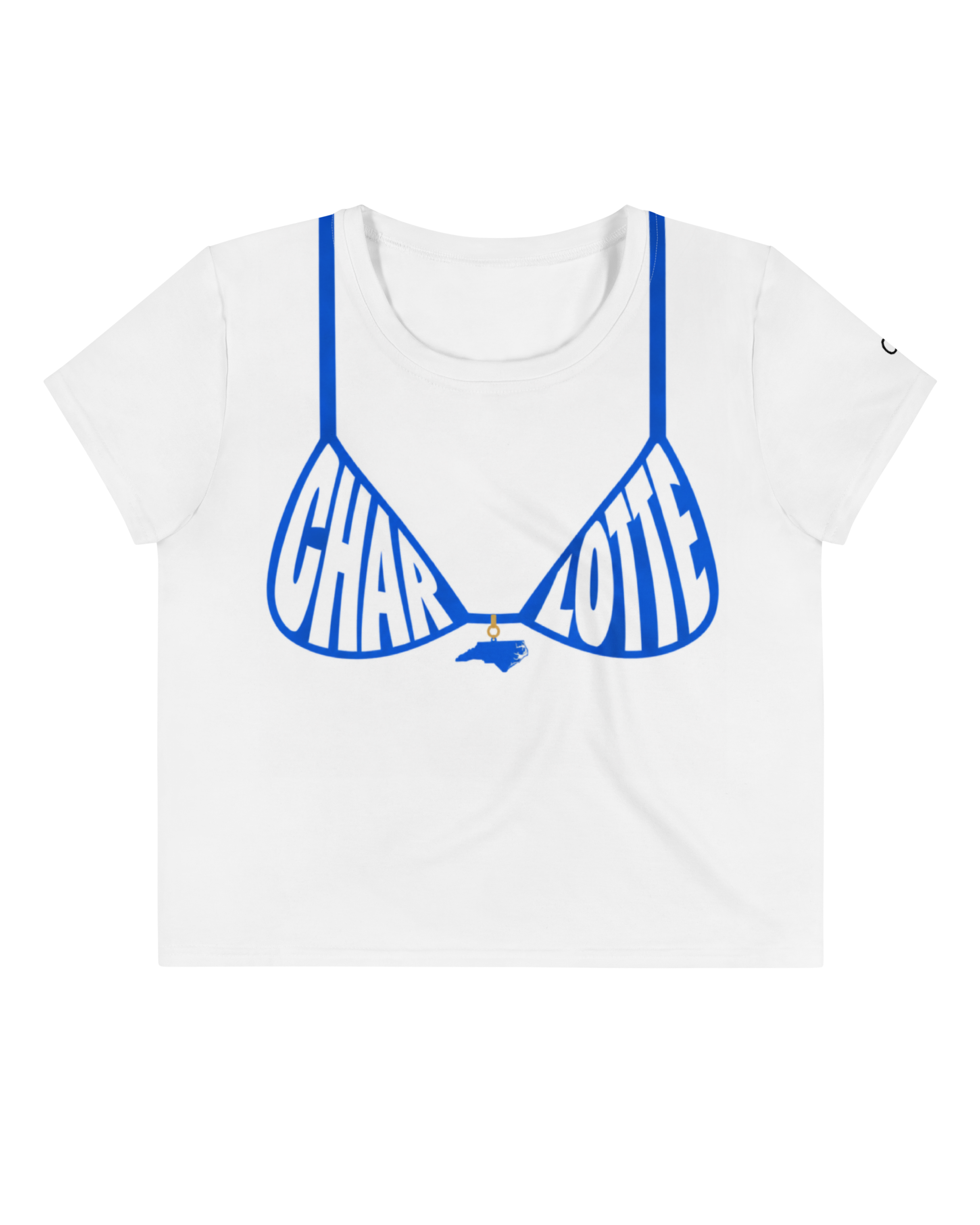 Charlotte Panthers Bikini Crop Top
