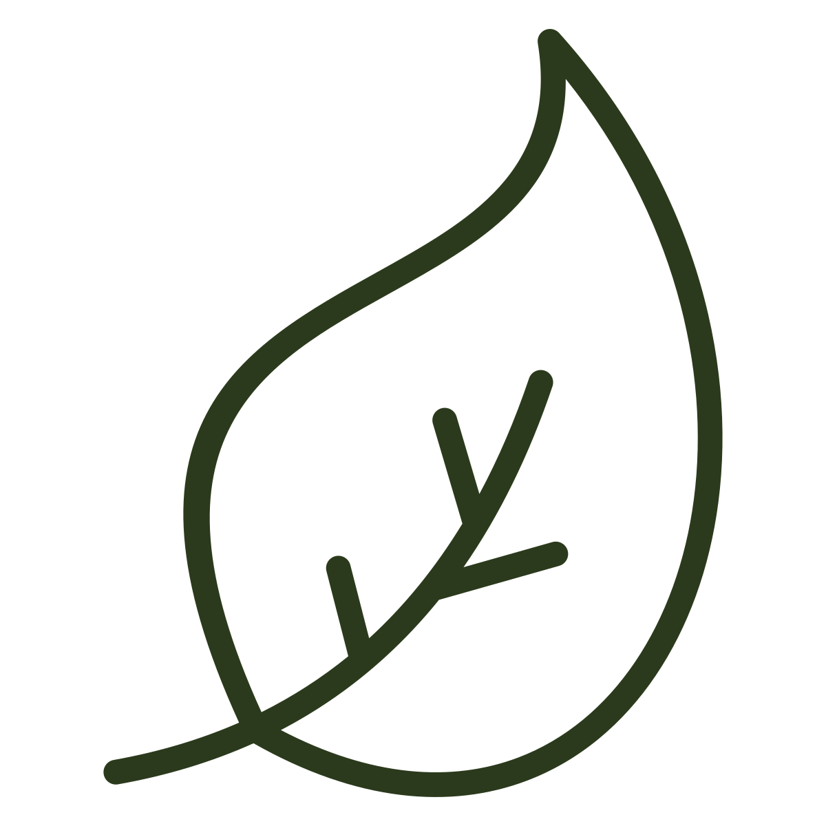 Outline drawing of two green leaves, one slightly overlapping the other.