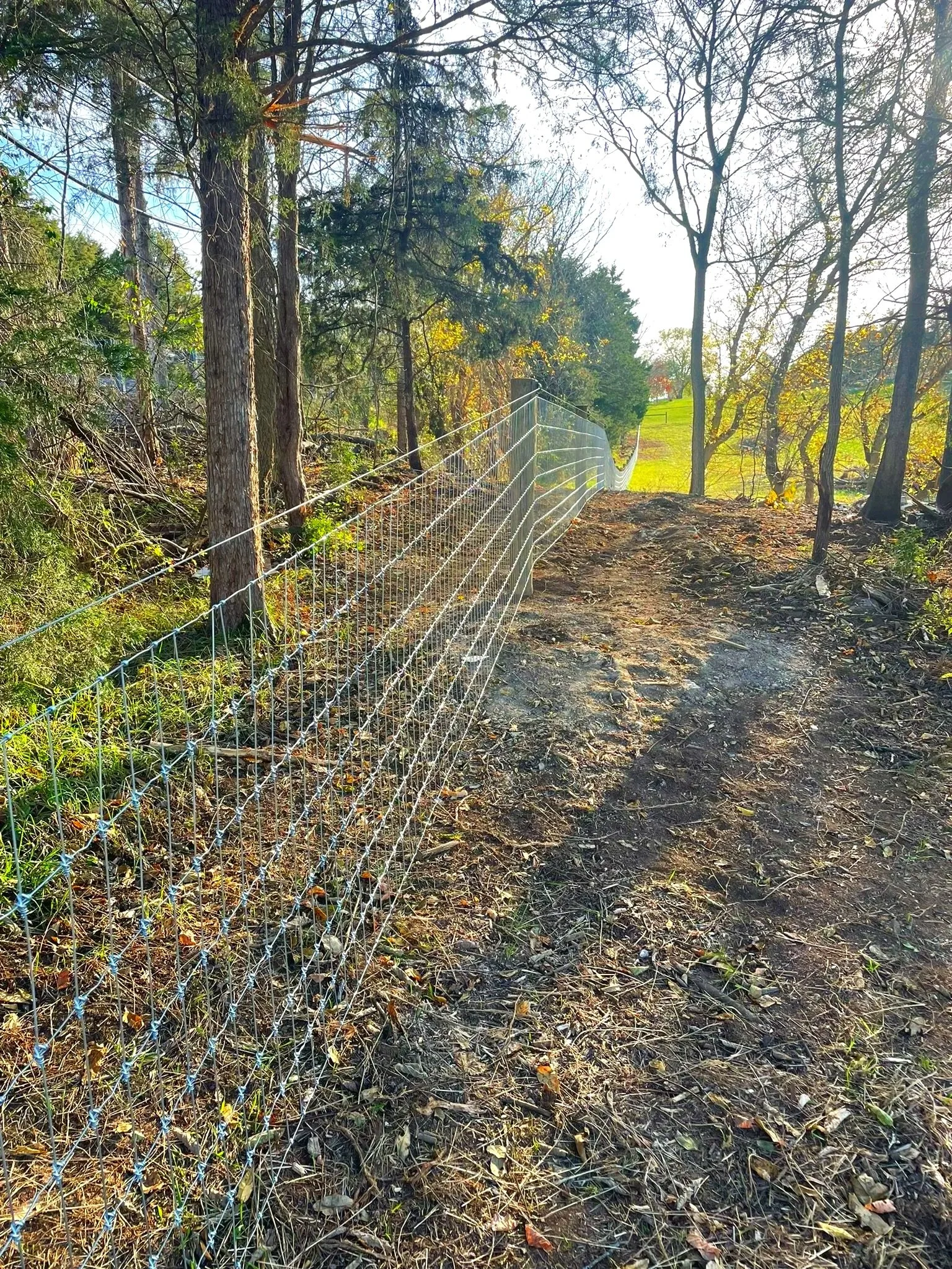 woven wire fence for cattle, sheep and goats