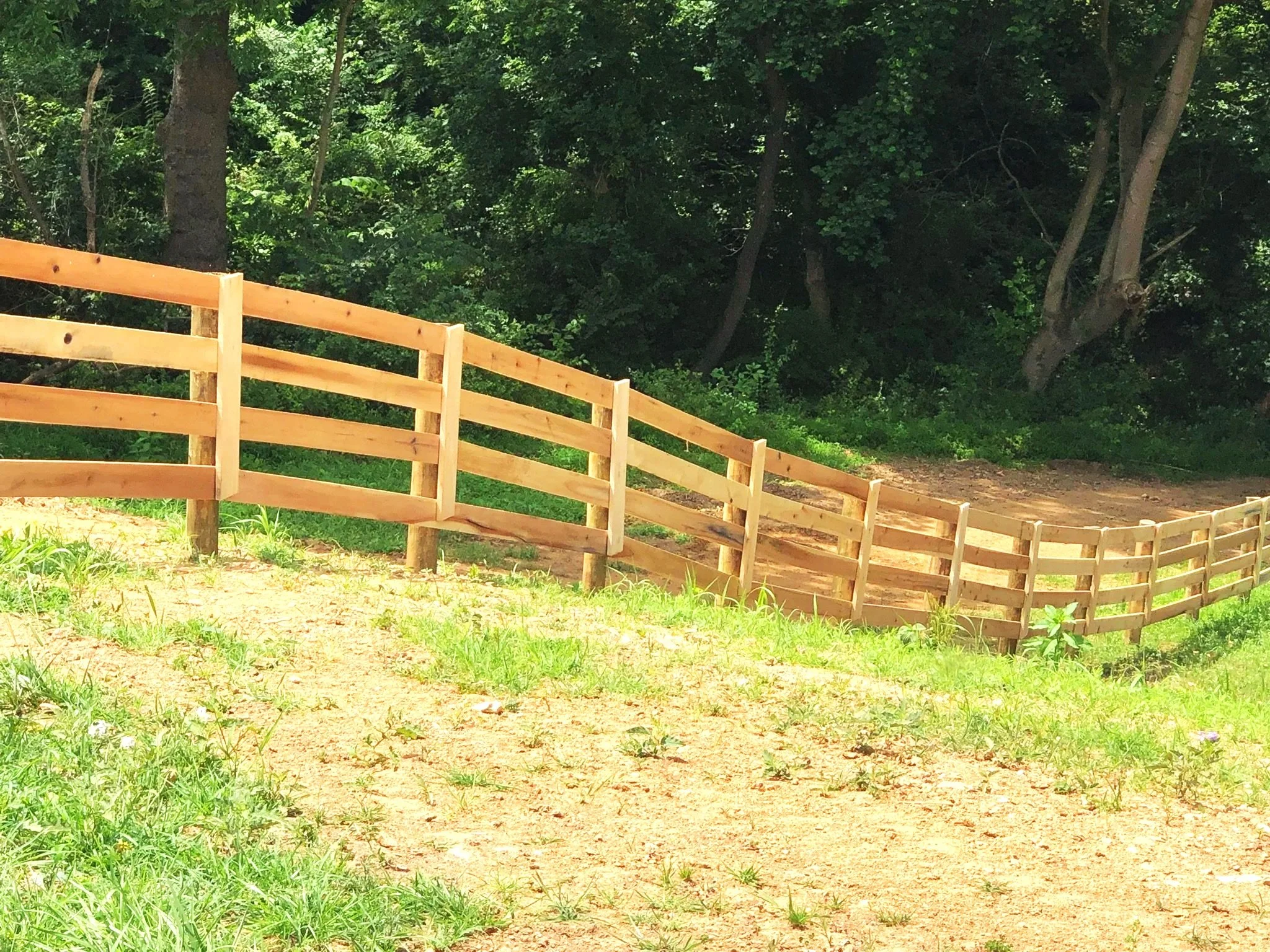 Wooden board fence, oak, poplar, pressure treated pine
