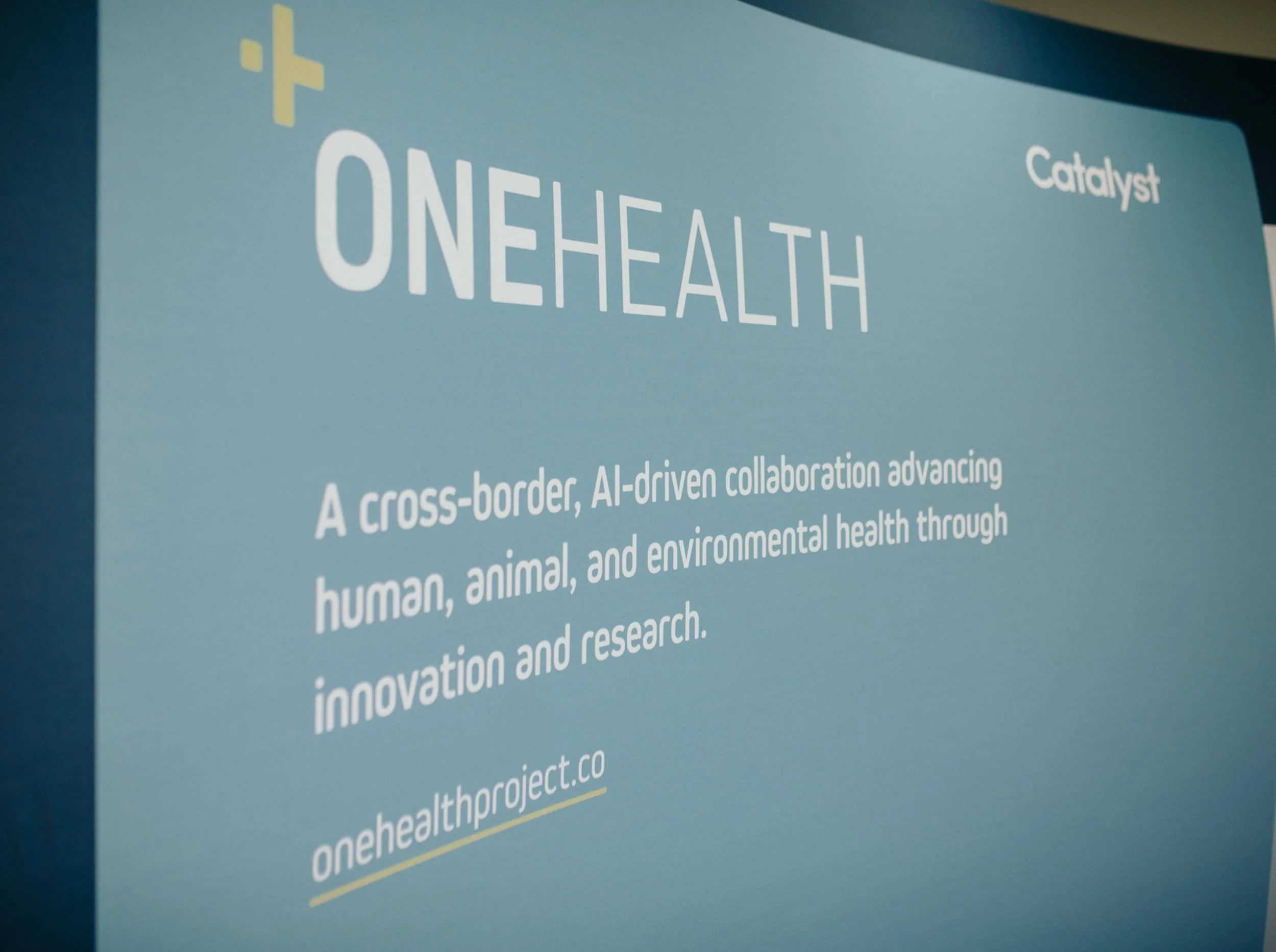 Meet the First ONEHEALTH AI Accelerator Cohort