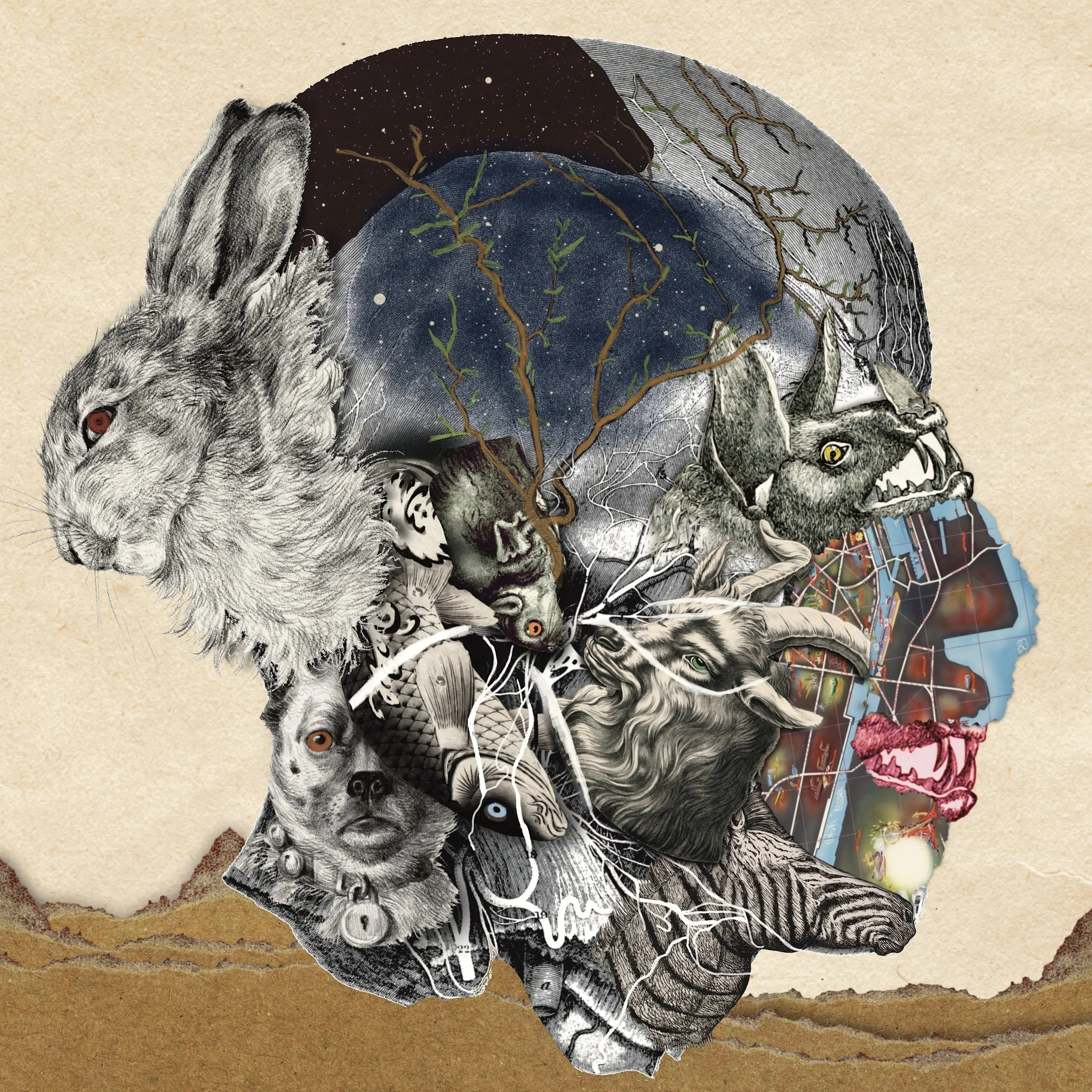 Animal Instinct v1.jpg