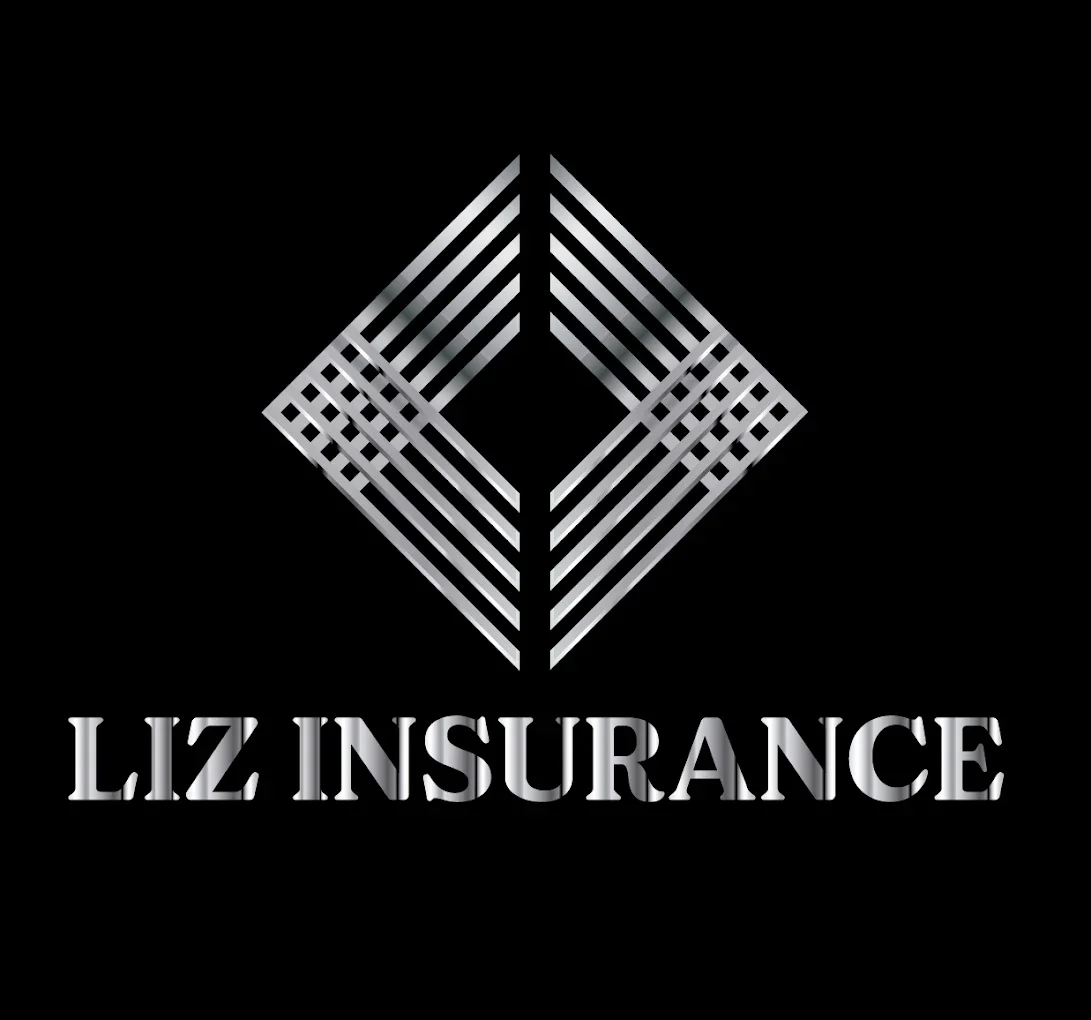 A silver geometric diamond shape logo above the text 'LIZ INSURANCE' on a black background.