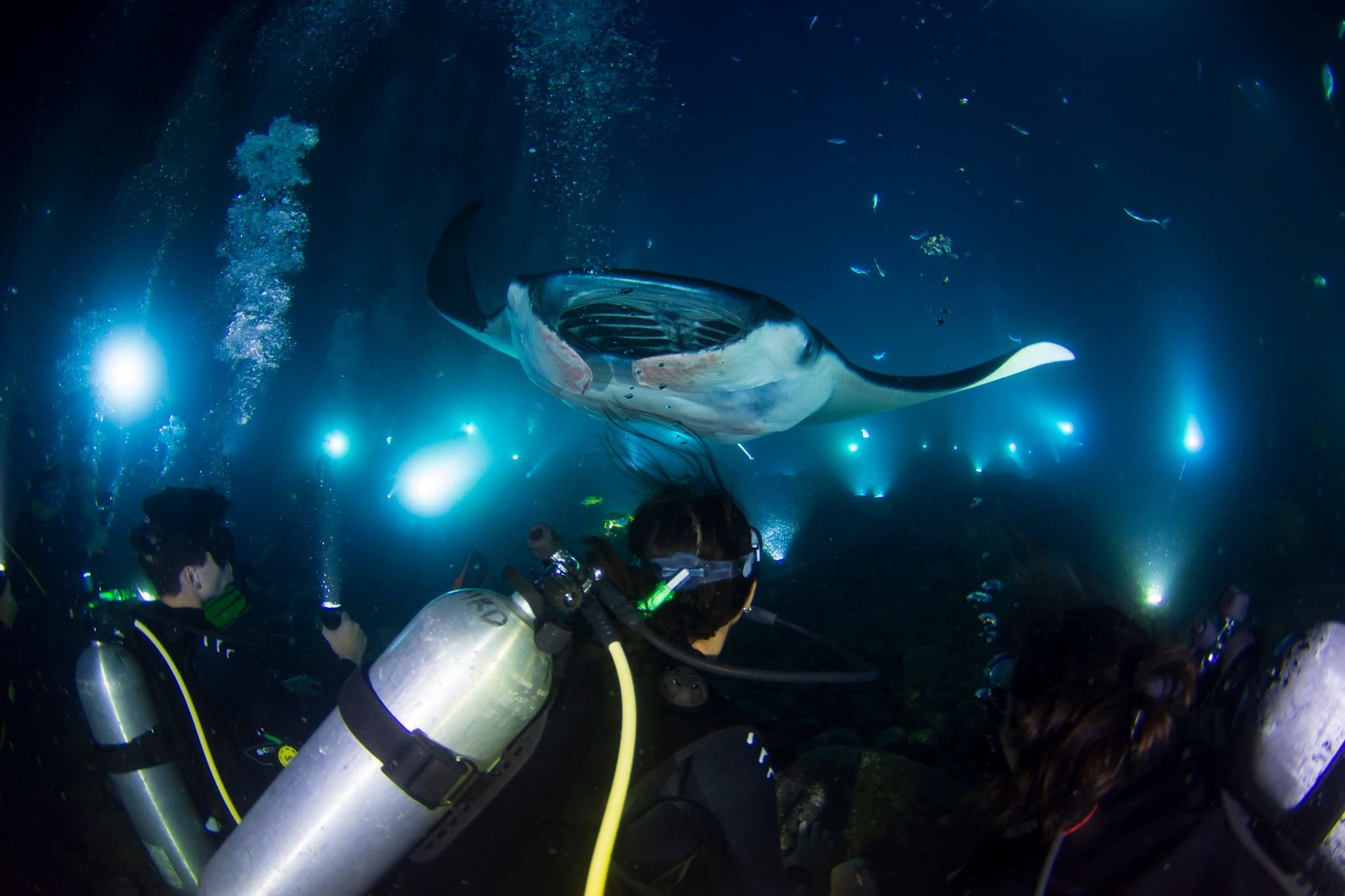 Underwater scene with scuba divers observing a manta ray swimming above them in a dark ocean.