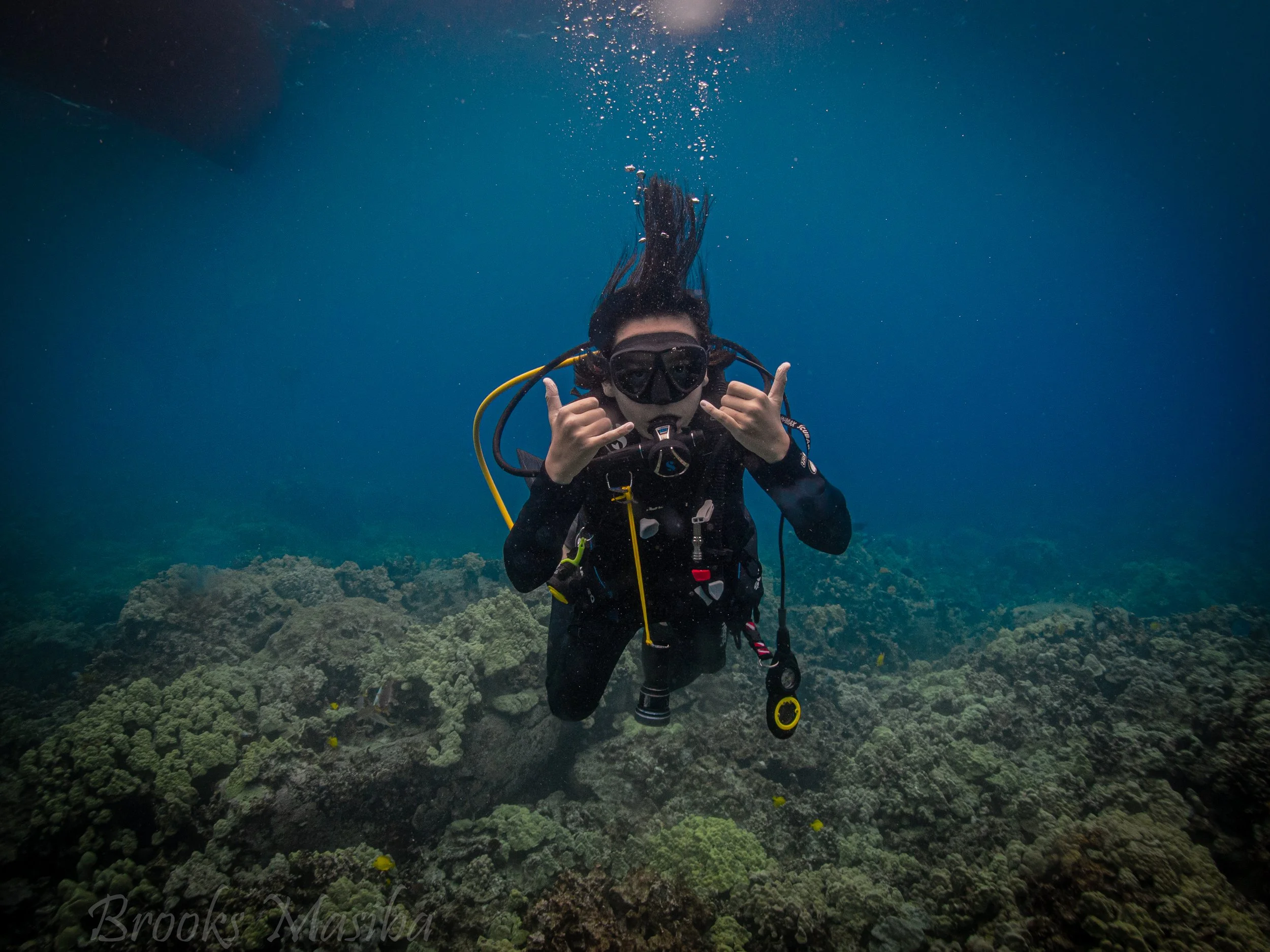 Daytime Scuba Dive
