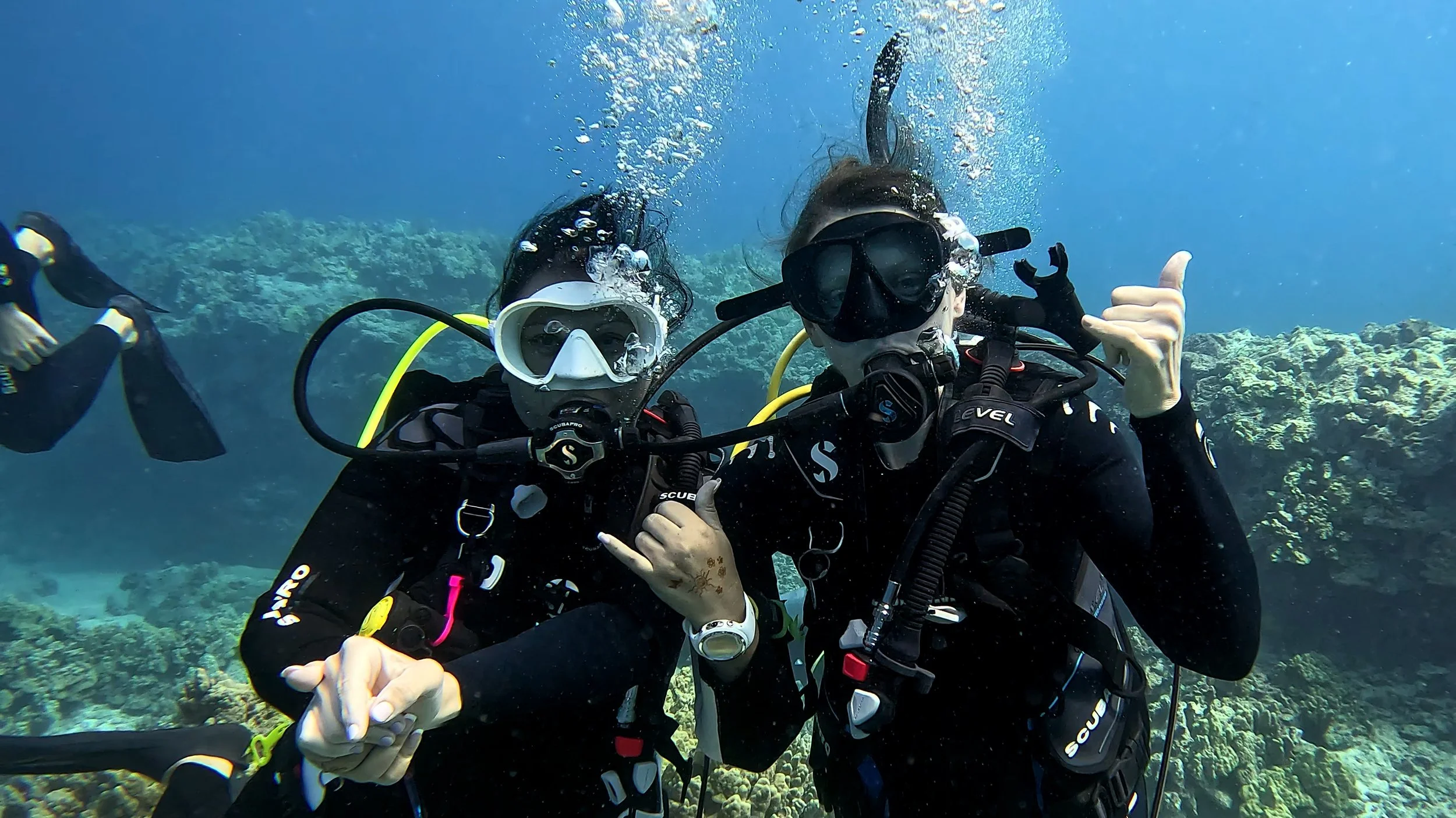 Daytime Scuba Dive