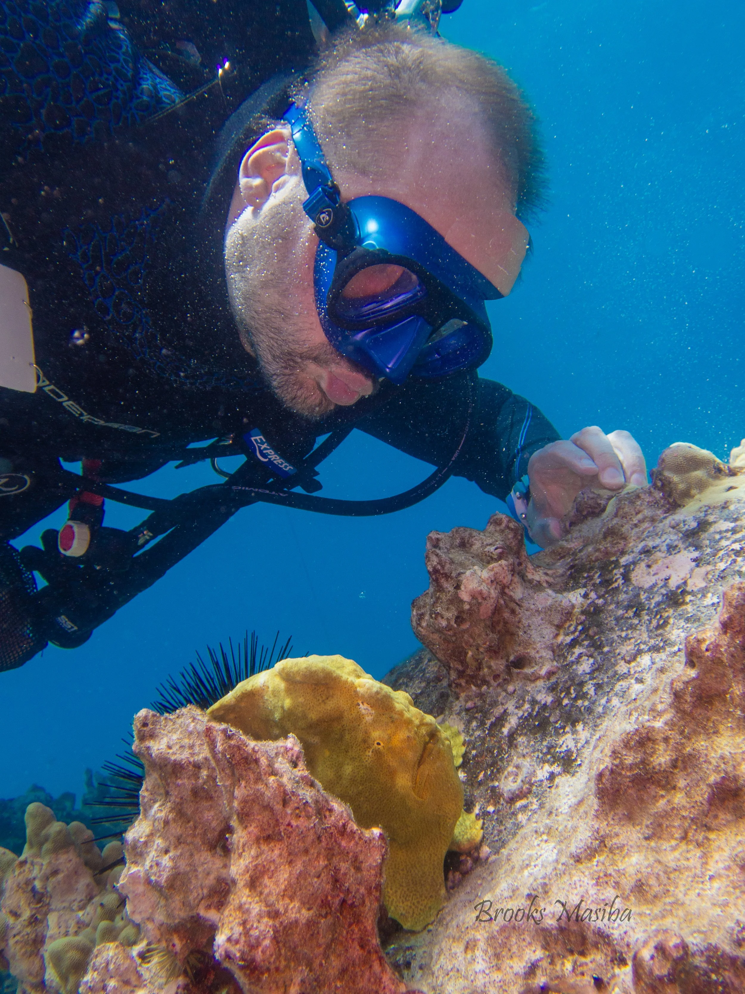 Rubber Ducky nudibranch -5.jpg