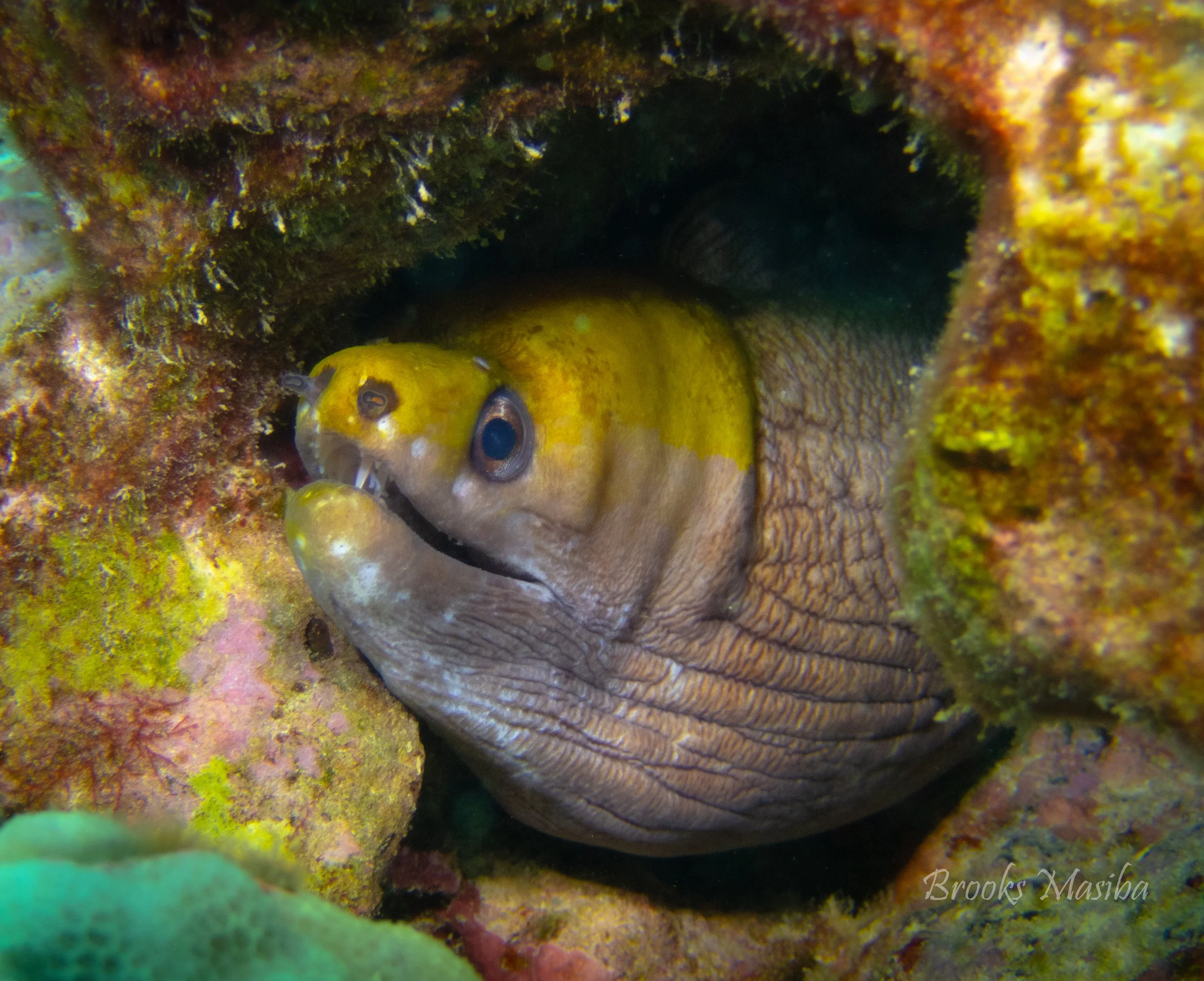 keauhou 1-24-1.jpg