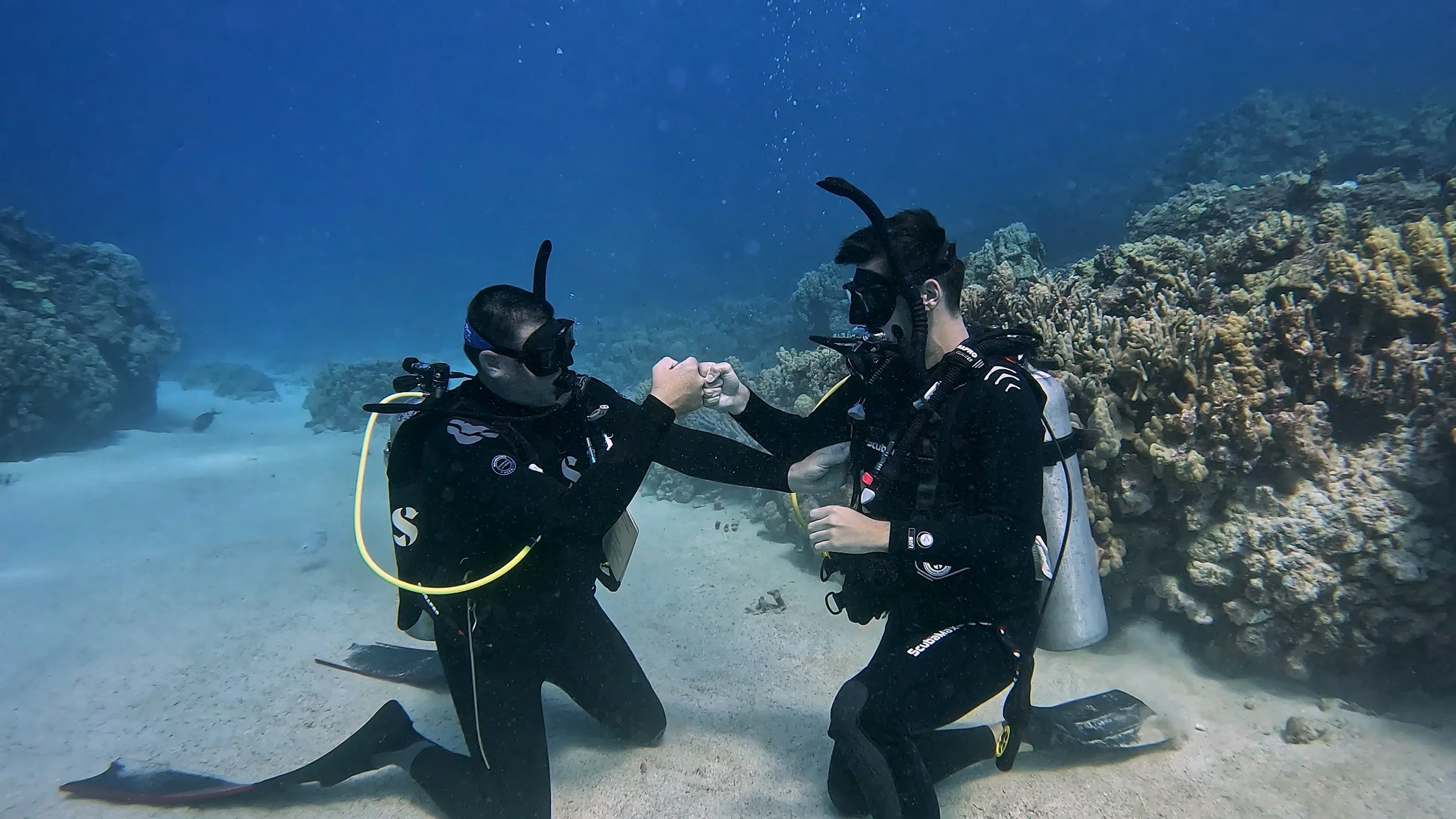 Two scuba divers underwater, fist bumping near a coral reef.