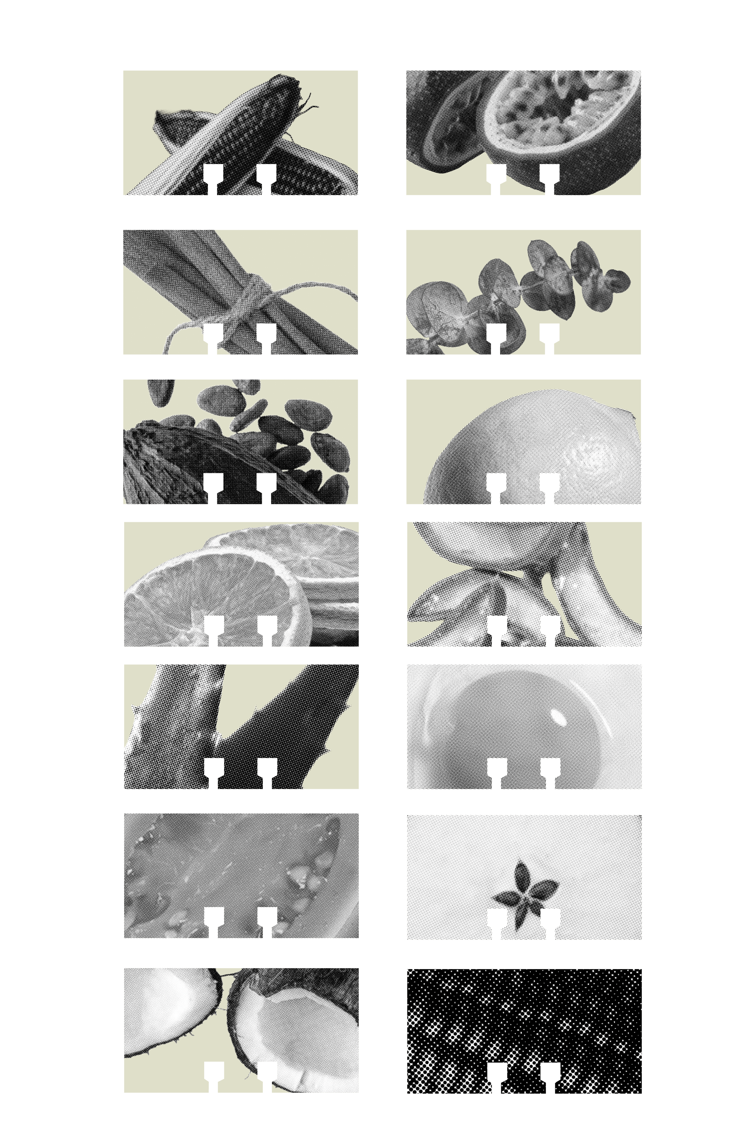 Rolodex Cards 20255.png