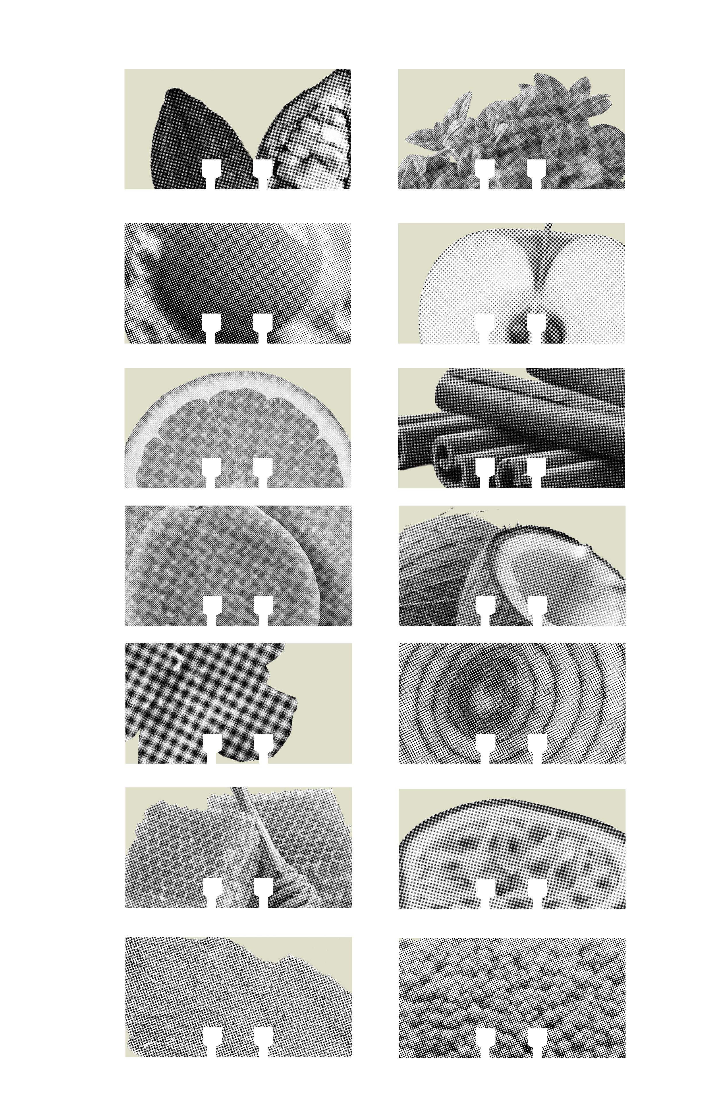 Rolodex Cards 20252.png