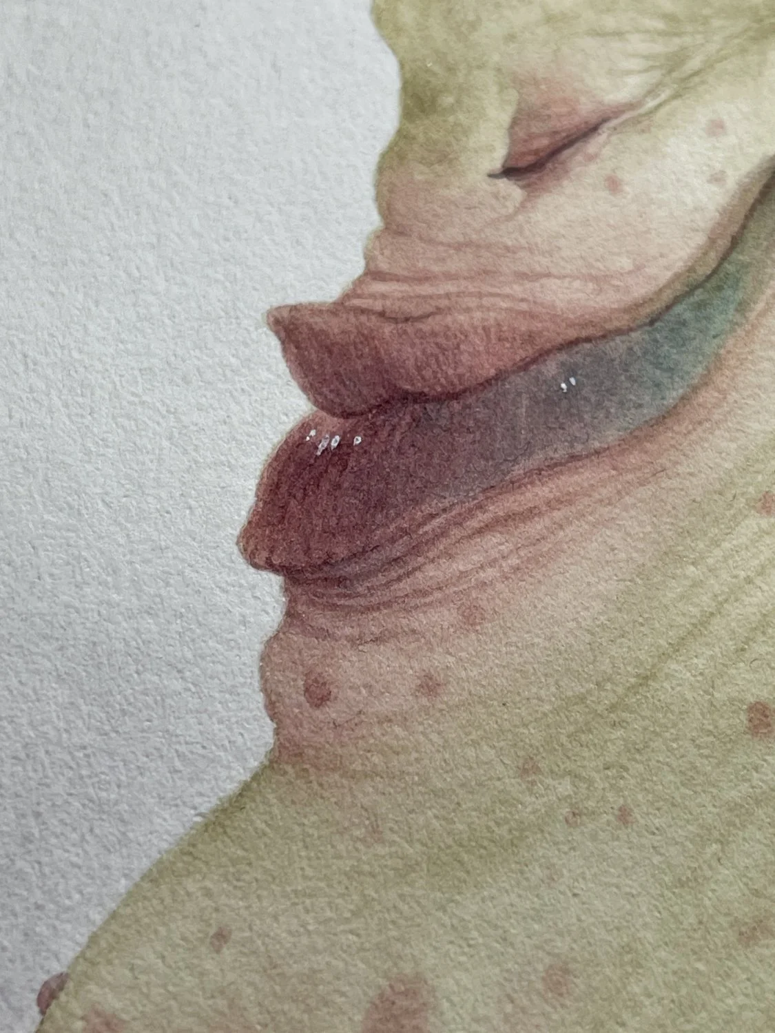 WANTED! Cosmic Outlaws, Space Pirates &amp; Intergalactic Scallywags