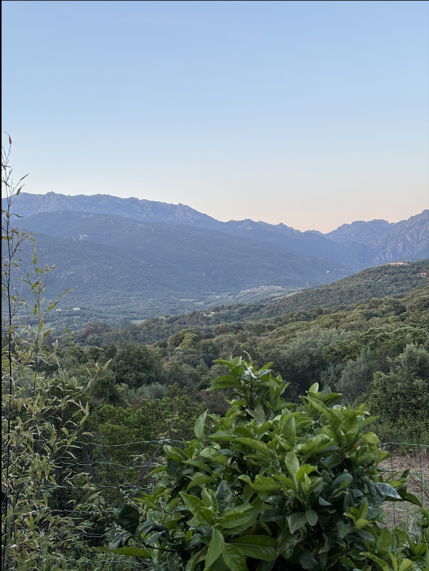 Vue du Jardin Casa Alta Bianca Proprianno