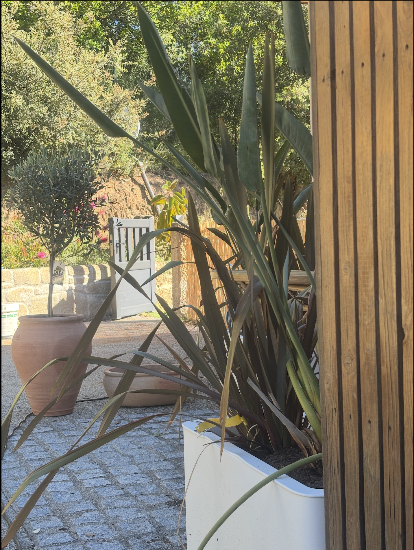 Terrasse Chambre