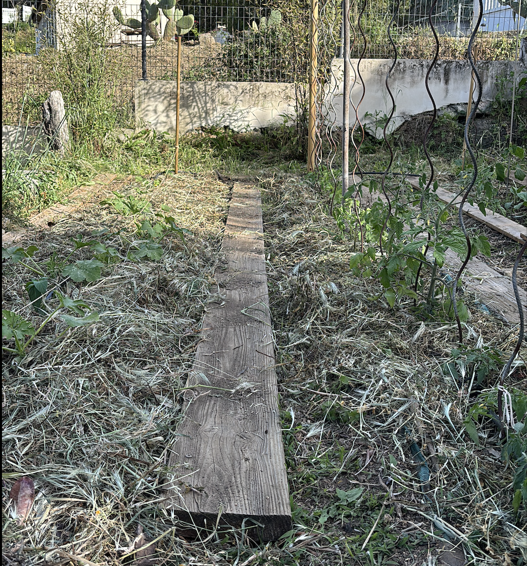 Jardin Potager Corse du sud Casa Alta Bianca
