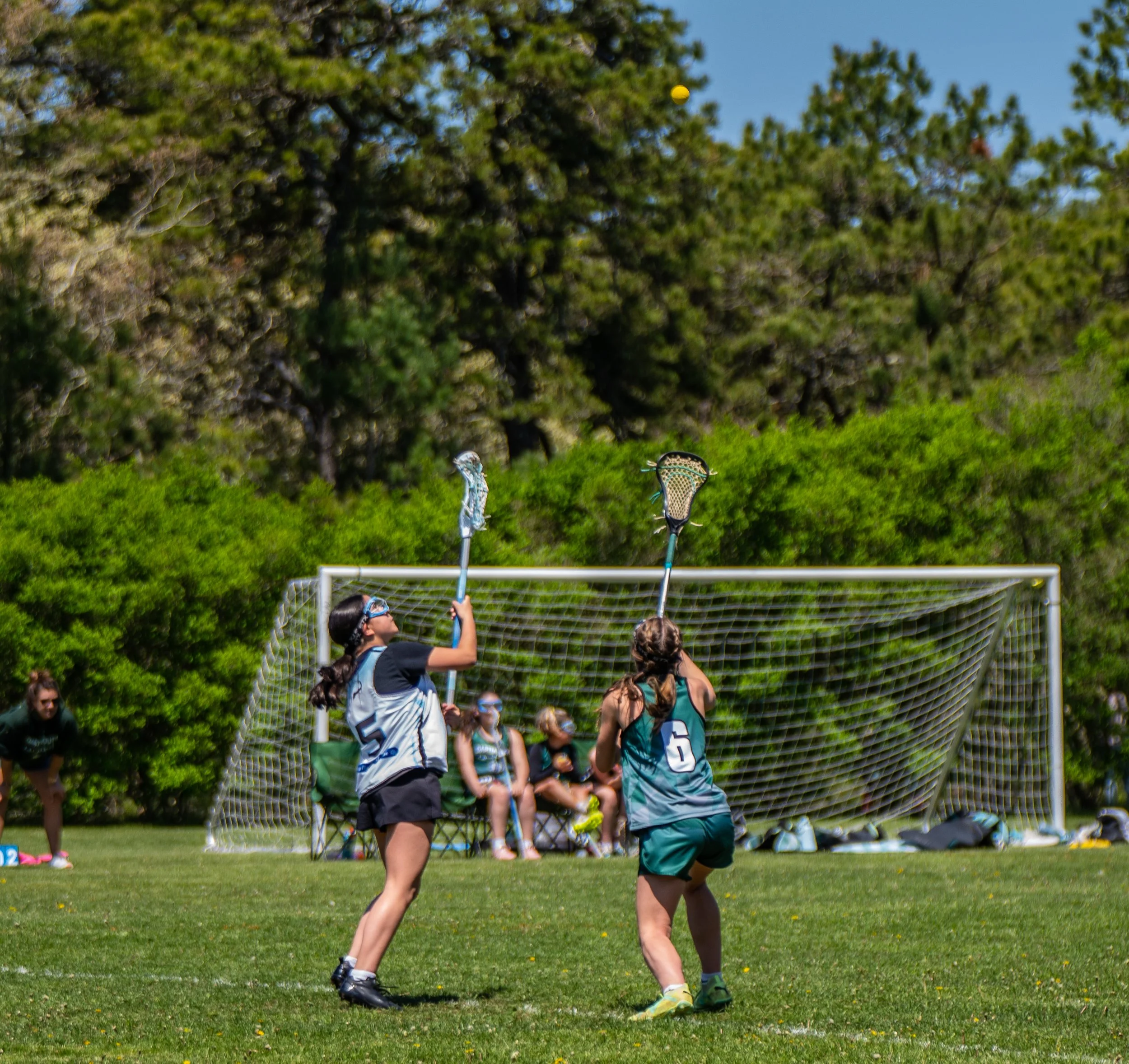 Two girls playing lacrosse on a green field, one wearing a gray jersey with the number 5 and the other wearing a teal jersey with the number 5, reaching to catch a yellow ball in mid-air, with a lacrosse goal and trees in the background.