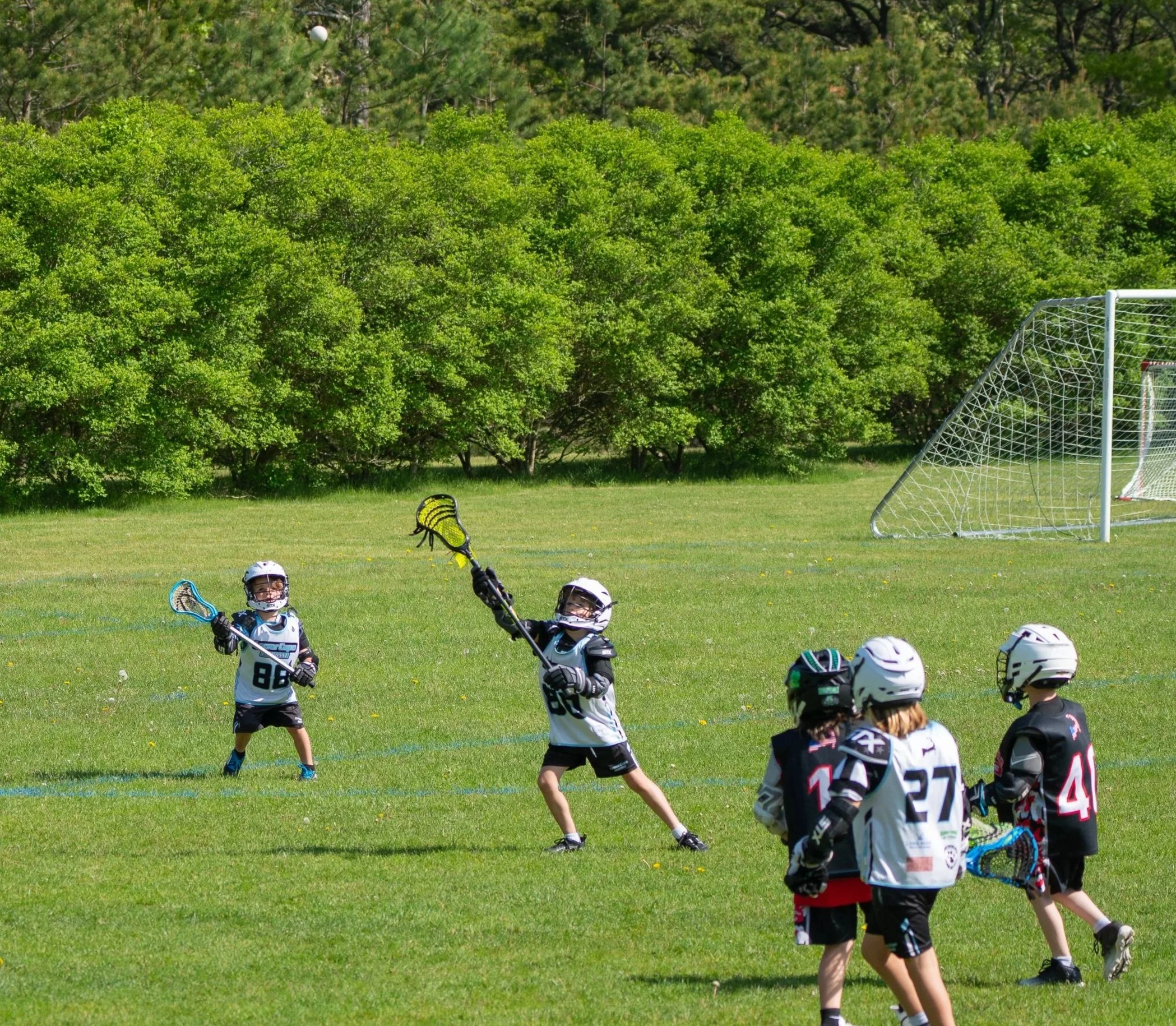 Young children playing lacrosse on a grassy field with trees in the background and a soccer goal to the right.