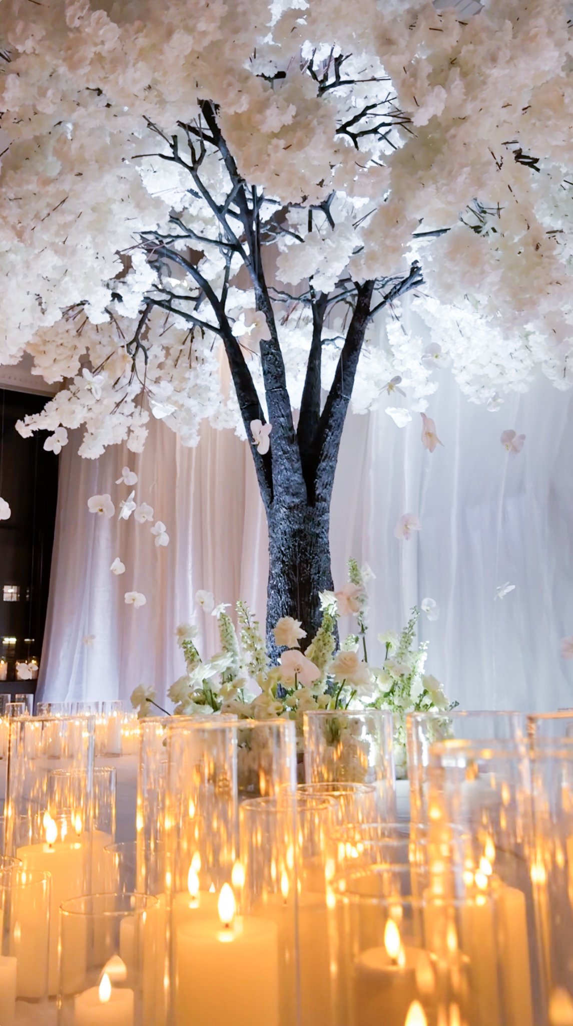 Screenshot 2026-02-10 at 10.15.29 PM.jpg