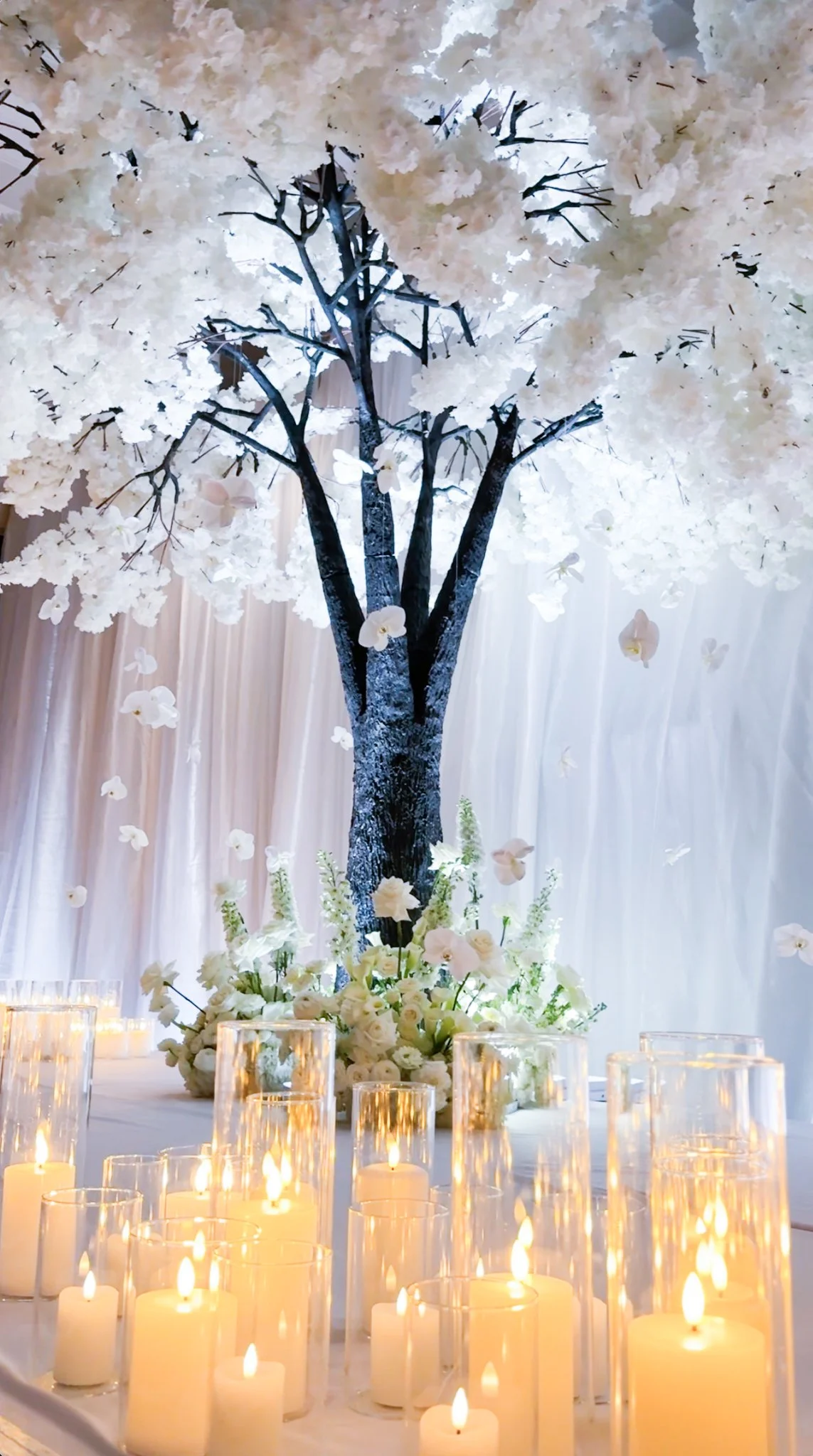 Screenshot 2026-02-10 at 10.14.57 PM.jpg