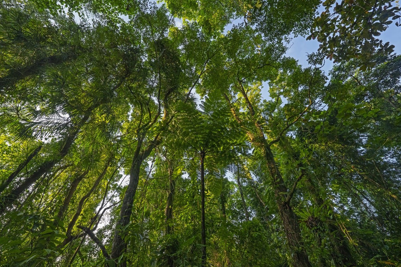 Sounds of Little Andaman
