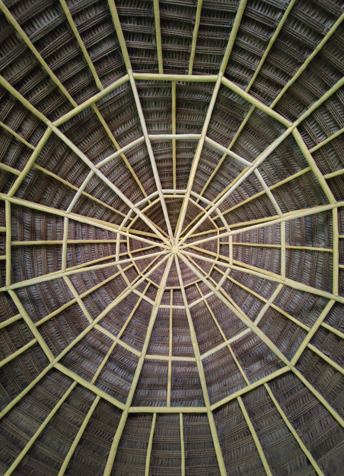 Ethnography in Bolivia