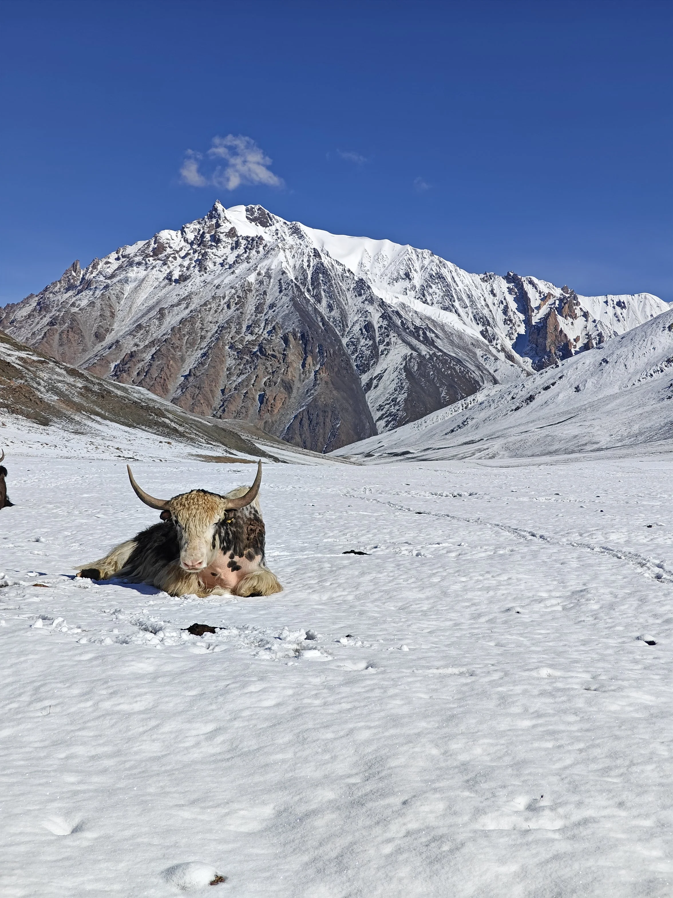 Ethnography in Pakistan