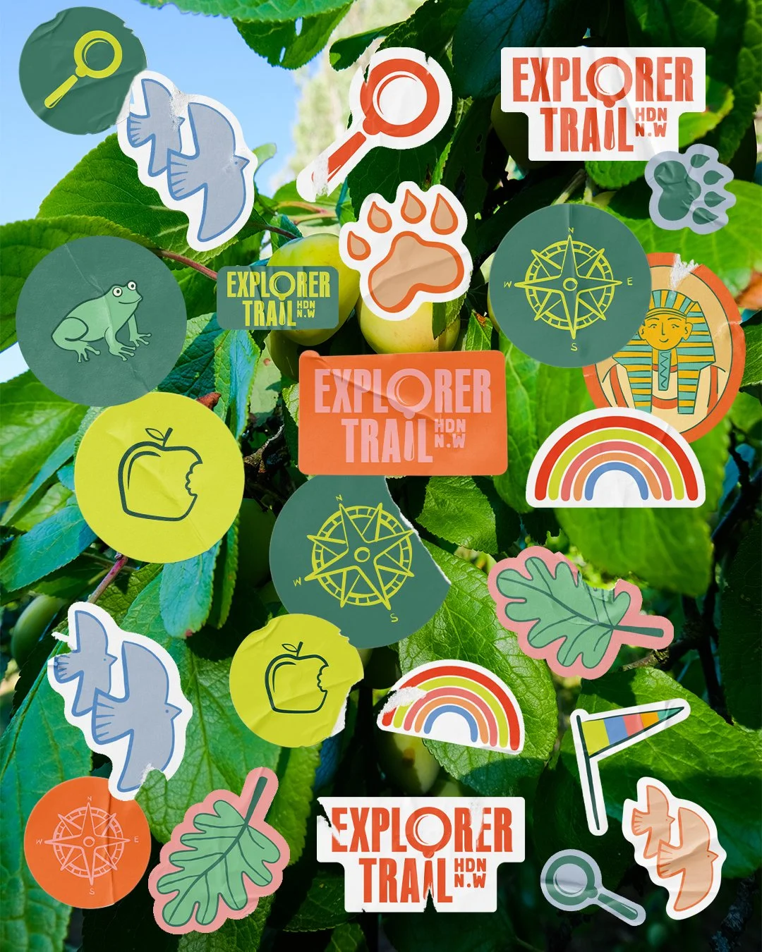196.Sticker Overlay1.jpg