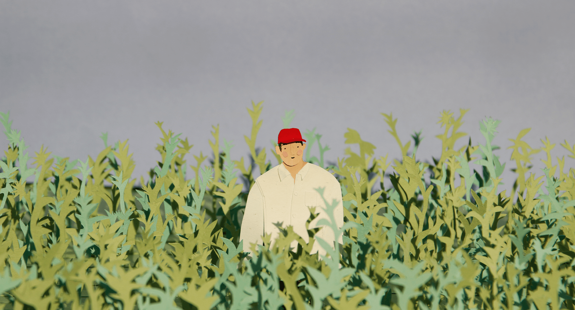 Minari_paper_character_illustration1.png