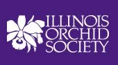 Orchids: Amplified, Illinois Orchid Society - Spring 2026 Show / March 13-15, 2026