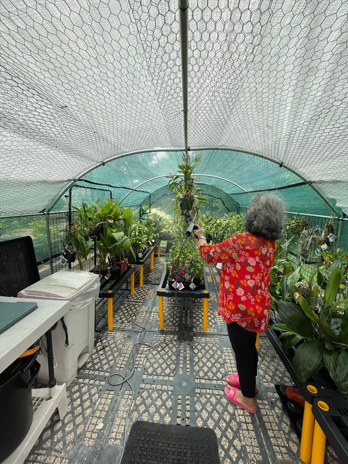 Building a Summer Greenhouse