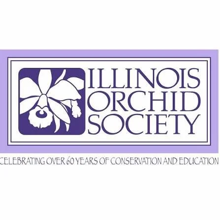 Illinois Orchid Society Fall Show