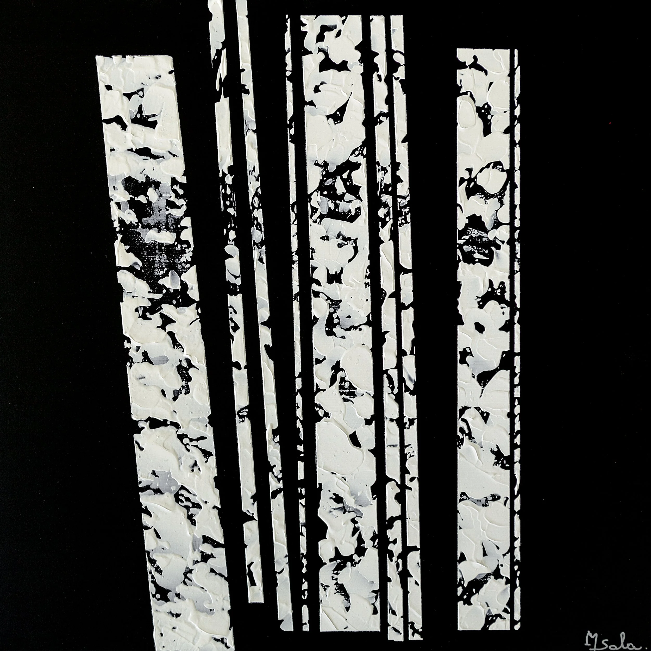 Fragments_noir_IMG_6846-1 25x25.jpg